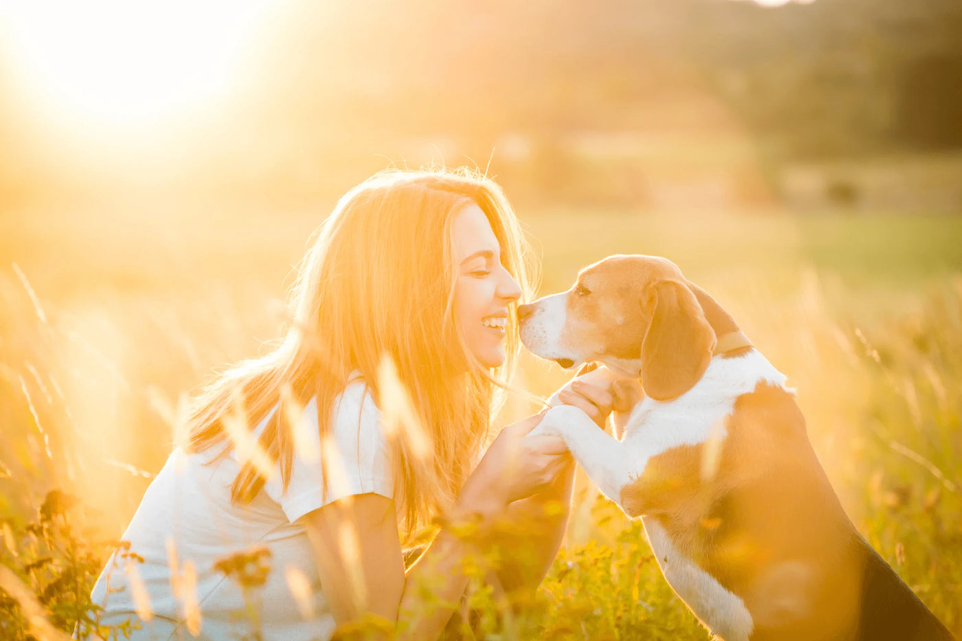Junge Frau kniet mit Beagle im Gras und berührt seine Nase, Dein bester Freund und Partner auf vier Pfoten. Bist du auch auf den Hund gekommen? Wir zeigen dir unsere liebsten Hunderassen!