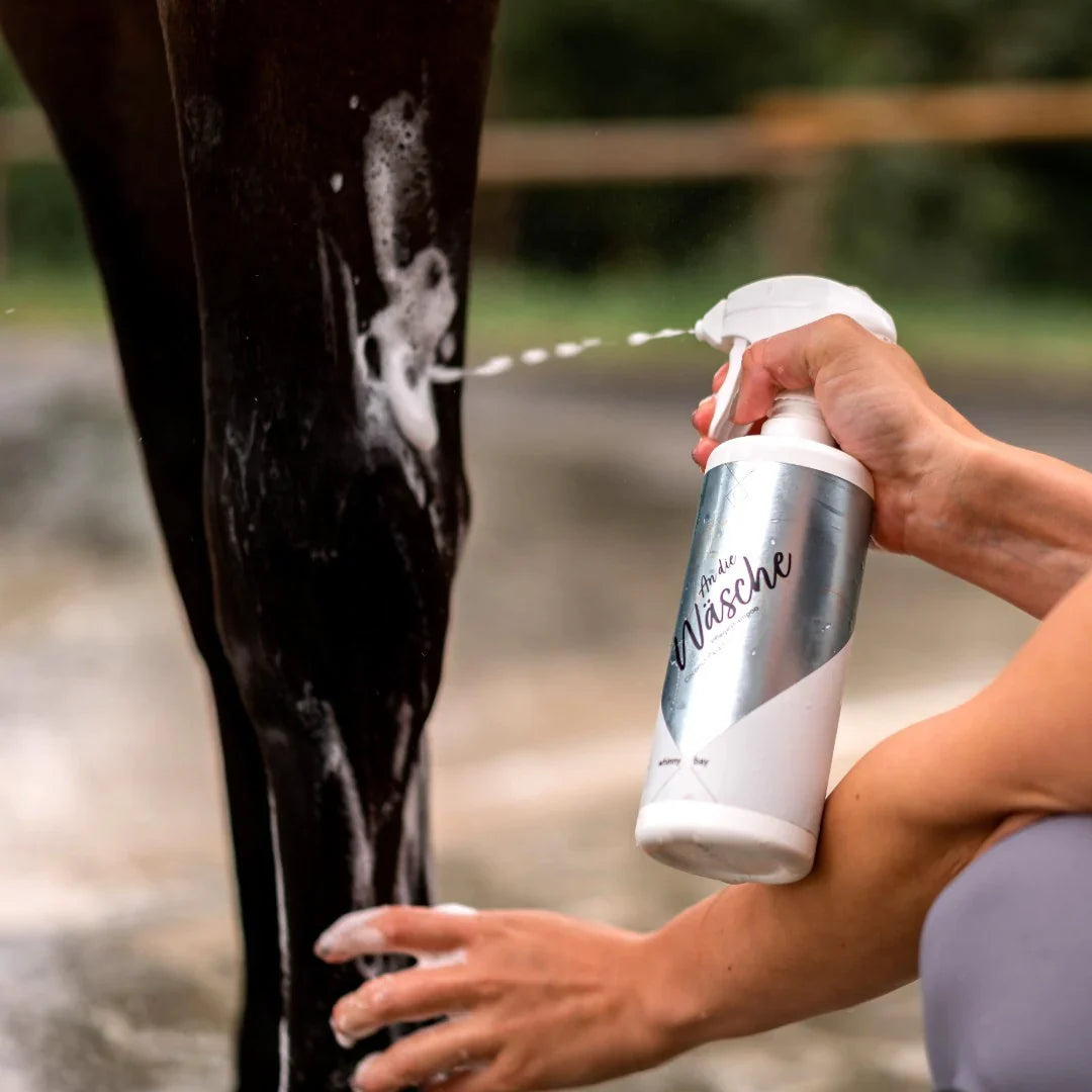 Pferdebein wird mit Wasser besprüht, 4 Tipps, wie ihr euer Pferd an das Duschen gewöhnt.