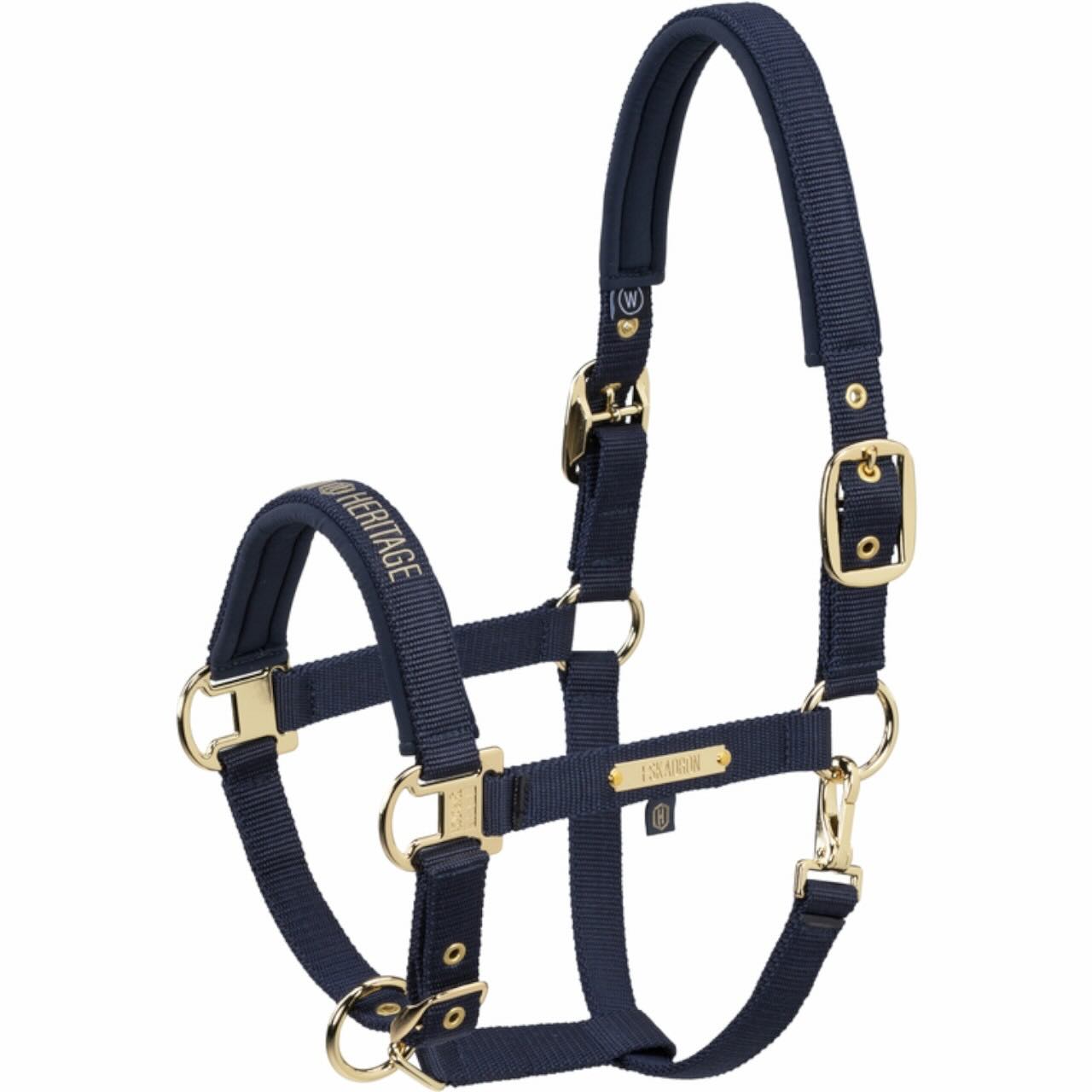Halfter & Stricke, dunkelblaues Halfter mit goldfarbenen Beschlägen. Halfter & Stricke, dunkelblaues Halfter mit goldfarbenen Beschlägen.
