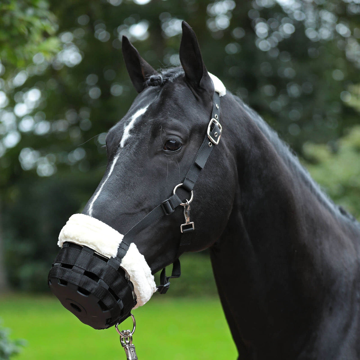 KERBL Maulkorb Teddyfleece Fressbremse, Schwarz, Pferd mit angelegter Fressbremse im Freien.