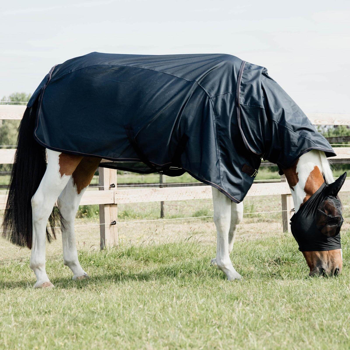 Kentucky Horsewear Fliegendecke Regendecke Waterproof Combo Classic, Schwarz, Pferd trägt die Decke auf der Weide.