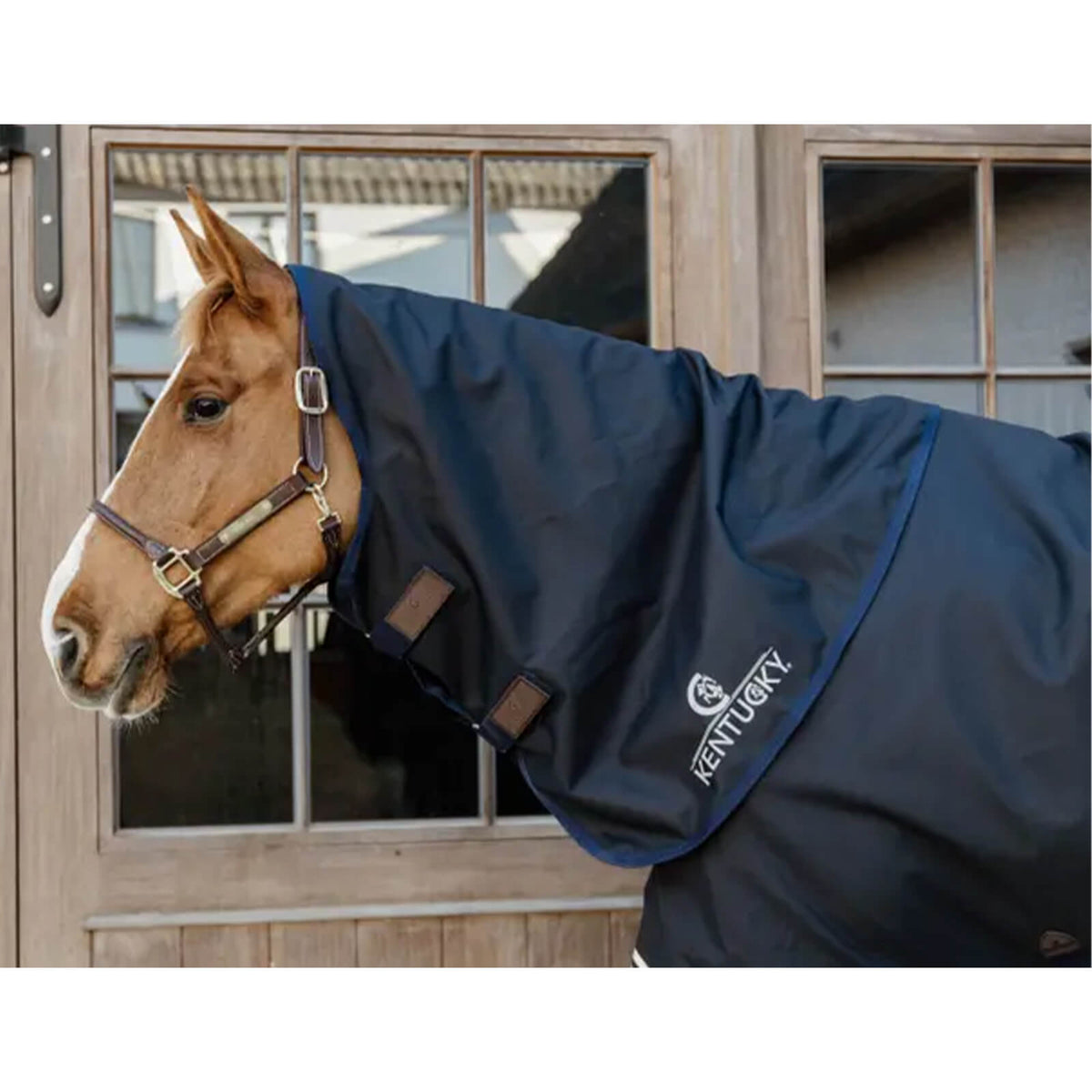 Kentucky Horsewear Halsteil 100g All Weather Comfort Wasserdicht, dunkelblau, Pferd trägt das Halsteil.