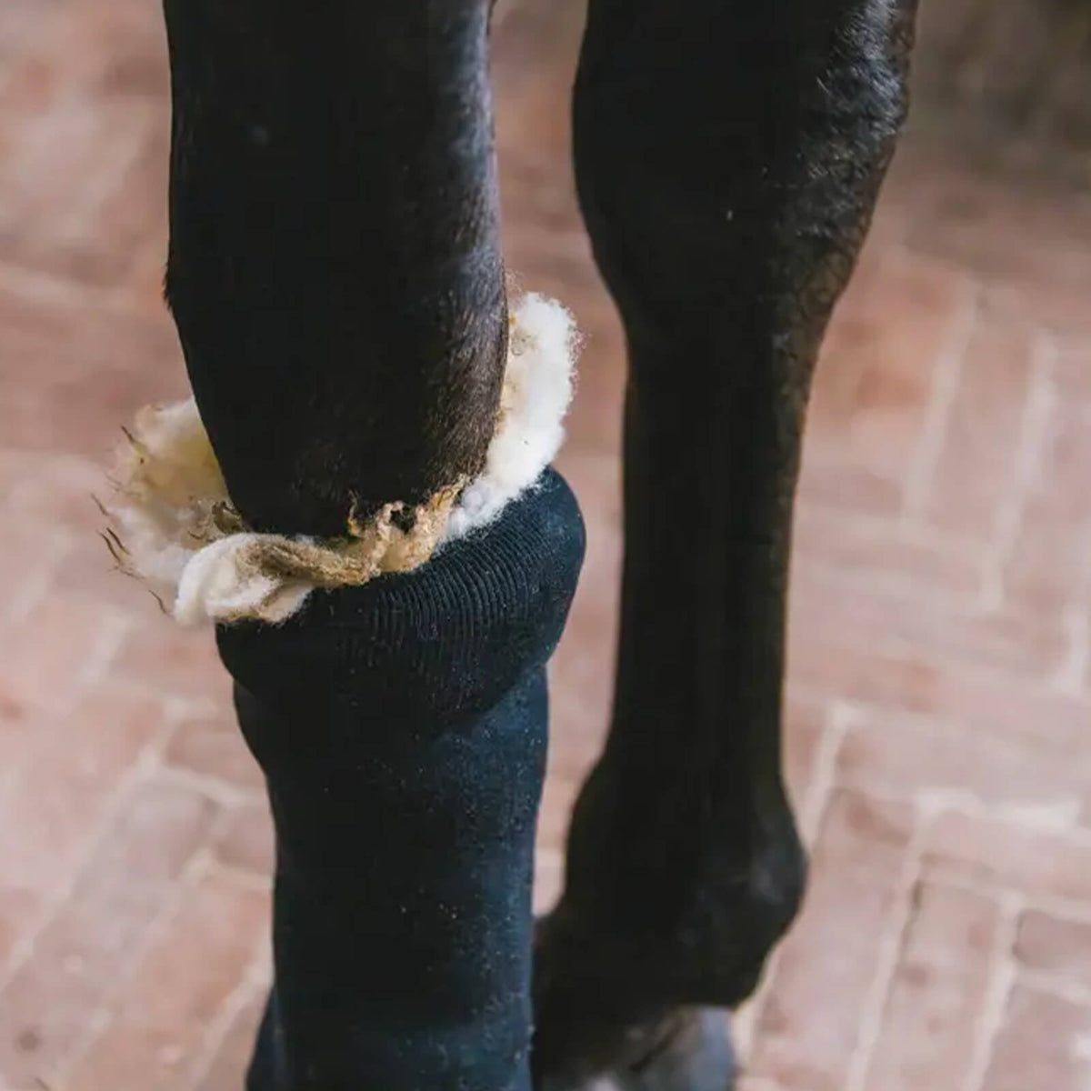 Kentucky Horsewear Therapeutische Wolle Therapeutic Wool 150g, Detailaufnahme am Pferdebein beim Verbinden.