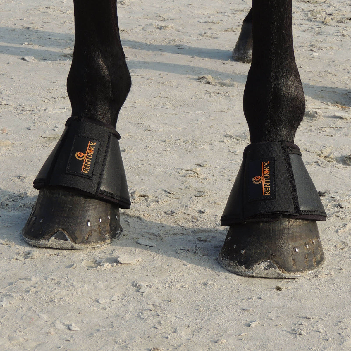 Kentucky Horsewear Hufglocken Leder Sprungglocken, schwarz, an Pferdebeinen im Sand.