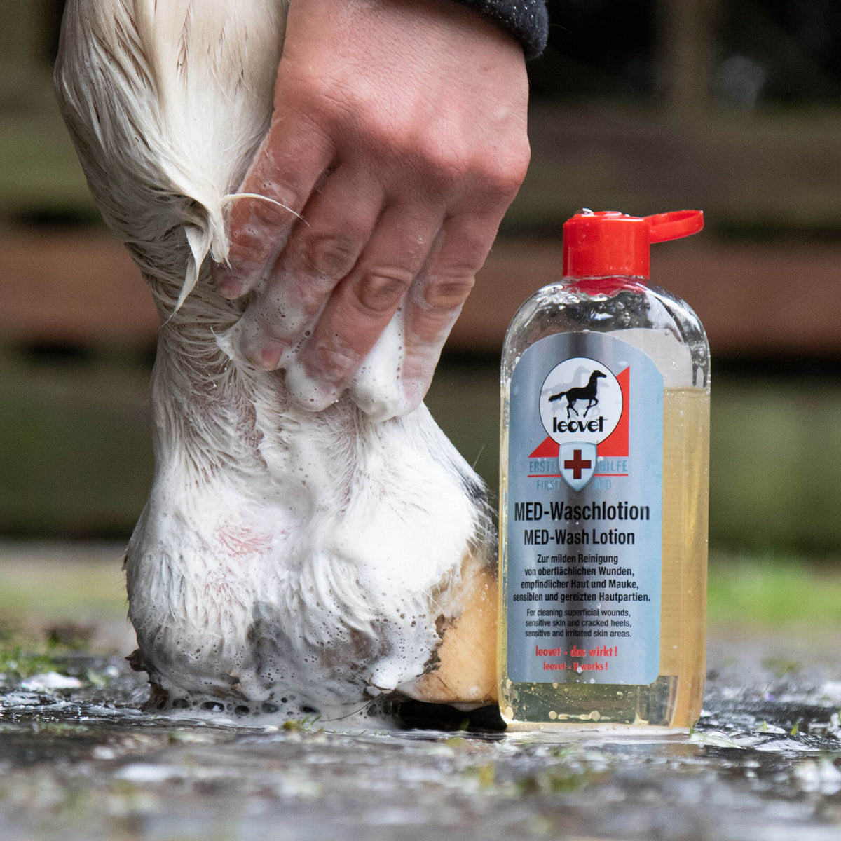 leovet Erste Hilfe MED-Waschlotion Pflegemittel, Hand wäscht Pferdebein neben der Flasche.