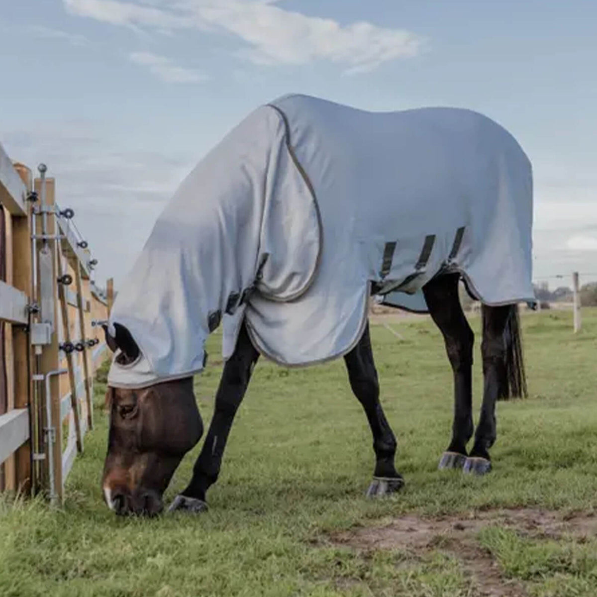 Kentucky Horsewear Ekzemerdecke mit Halsteil Fliegendecke, Pferd auf der Weide.