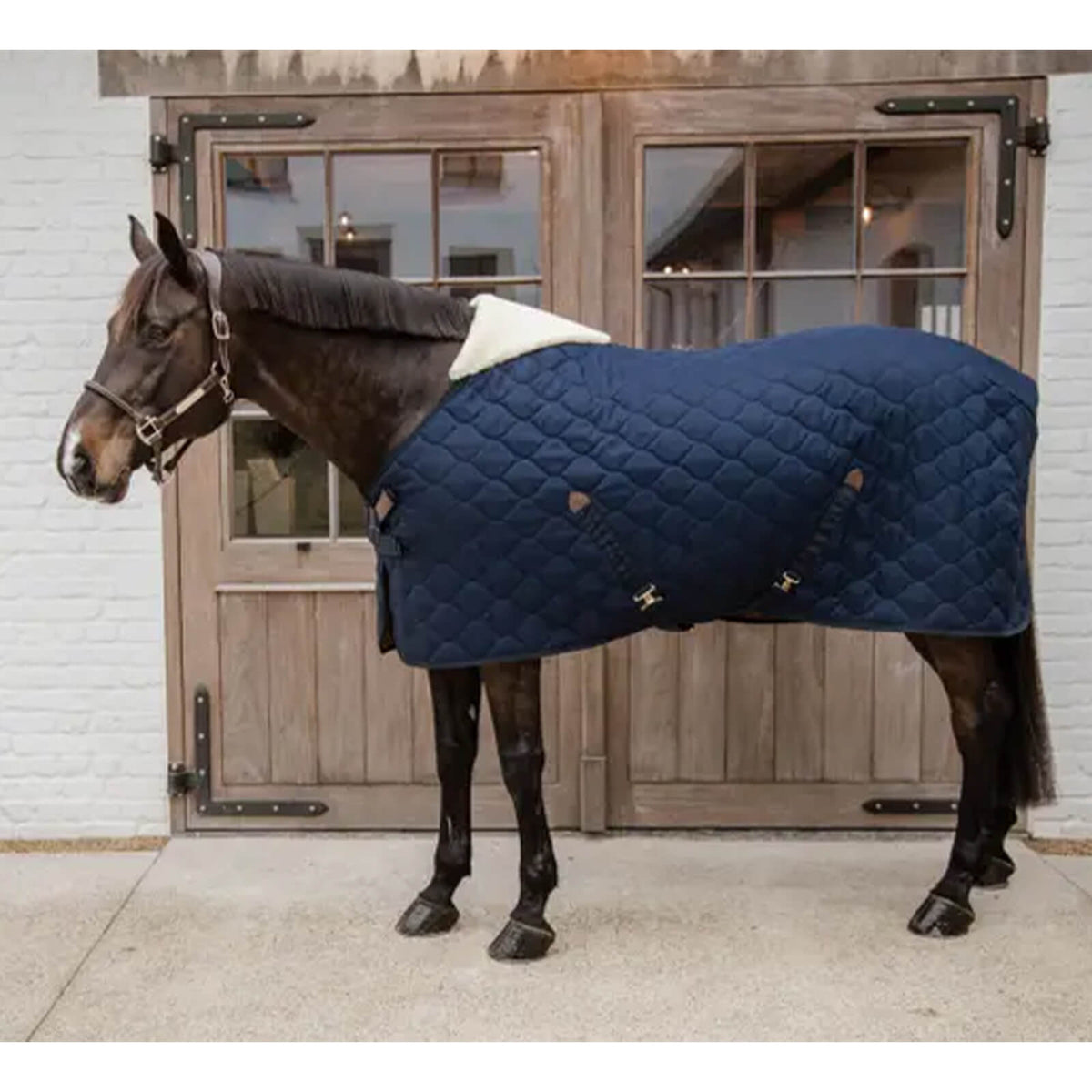 Stalldecke 300g Comfort Winterdecke, Dark Blue, am Pferd vor Stalltür.