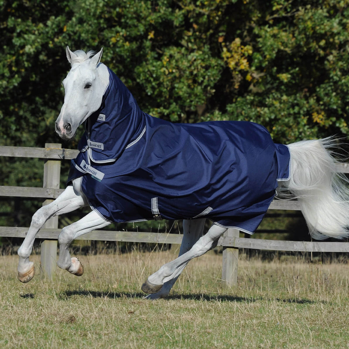 Bucas Outdoordecke 0g Freedom Turnout Light Full Neck Regendecke, Navy, Pferd auf der Weide.