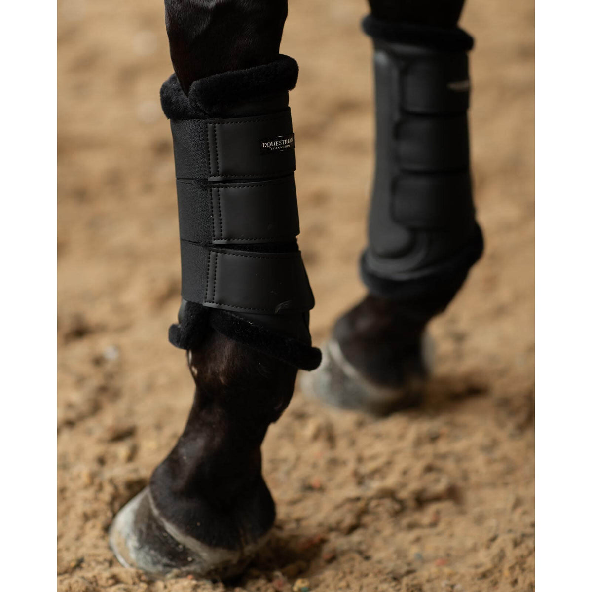 Gamaschen Black Brushing Boots, Schwarz, Detailaufnahme an Pferdebeinen im Sand.