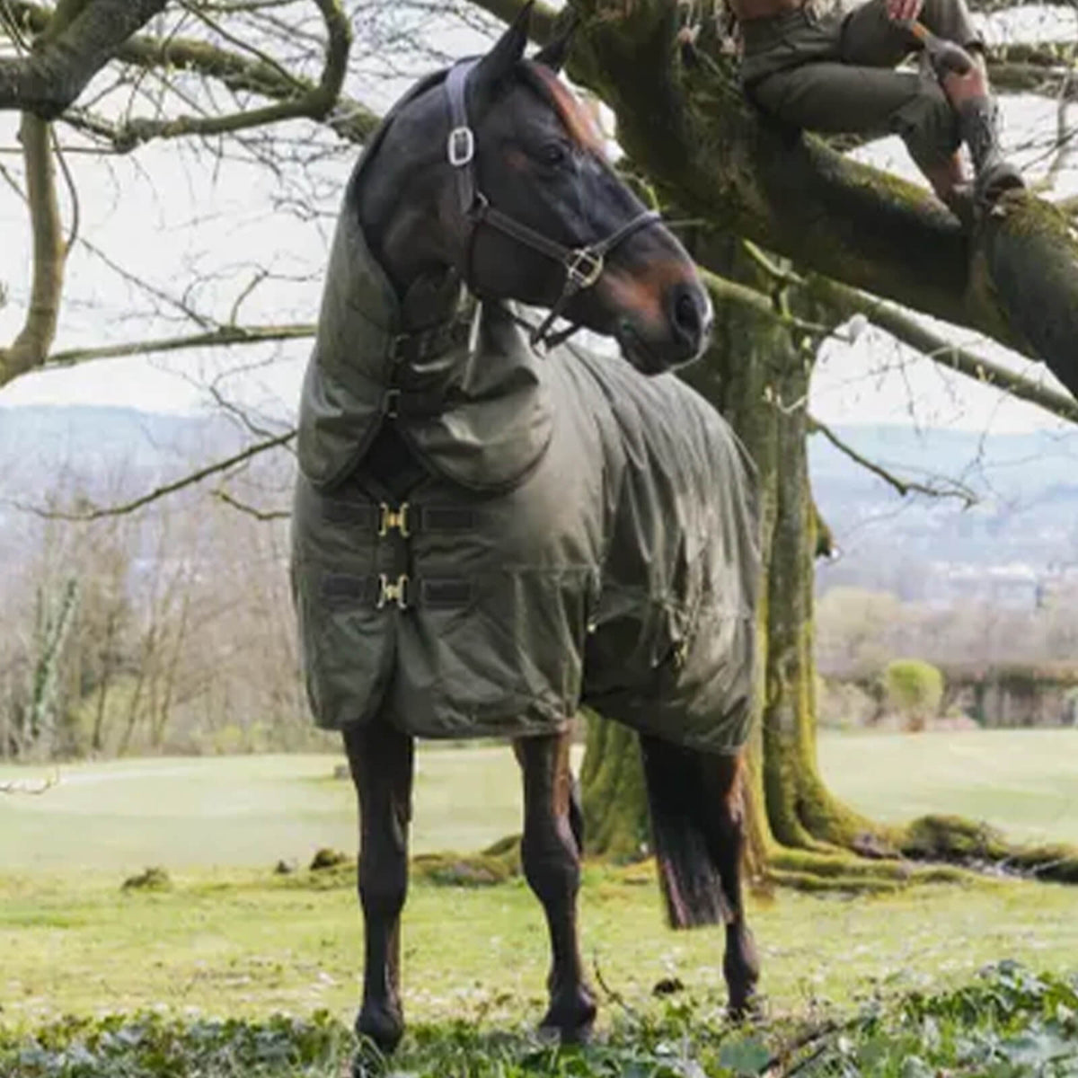 Kentucky Horsewear Outdoordecke 160g All Weather Waterproof Pro Weidedecke, Olivgrün, Pferd im Freien.