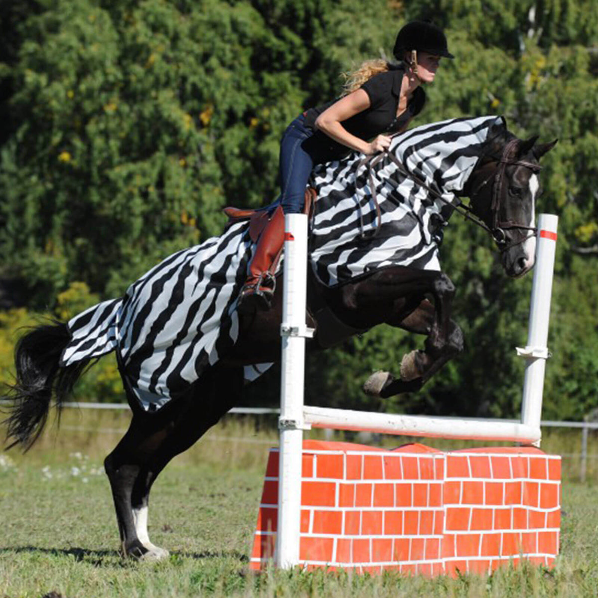 Bucas Fliegen Ausreitdecke Buzz-Off Riding Zebra, mehrere Farbvarianten, Reiterin auf springendem Pferd.