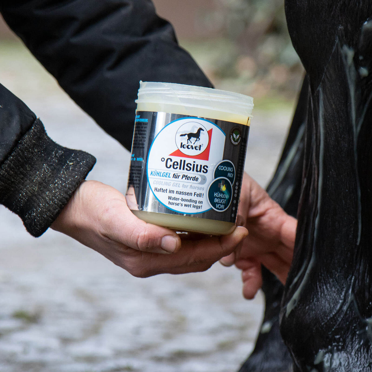 leovet Pflegemittel Cellsius Gel Pferdesalbe, Produkt allein, in der Hand am Pferdebein.