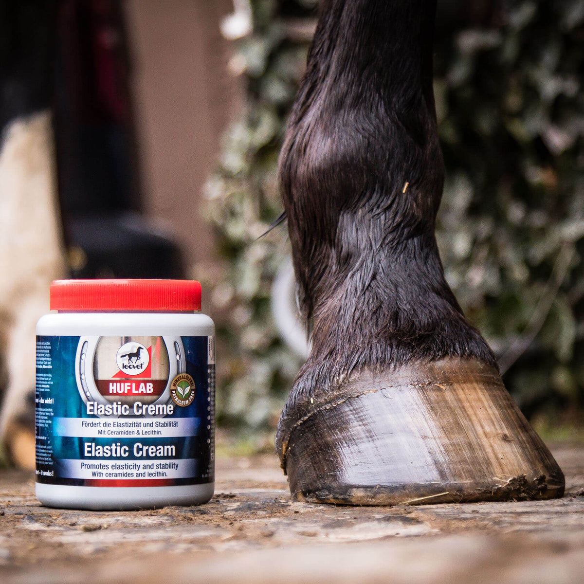 leovet Huflab Elastic Creme Hufpflege, Produkt allein neben Pferdehuf im Stall.