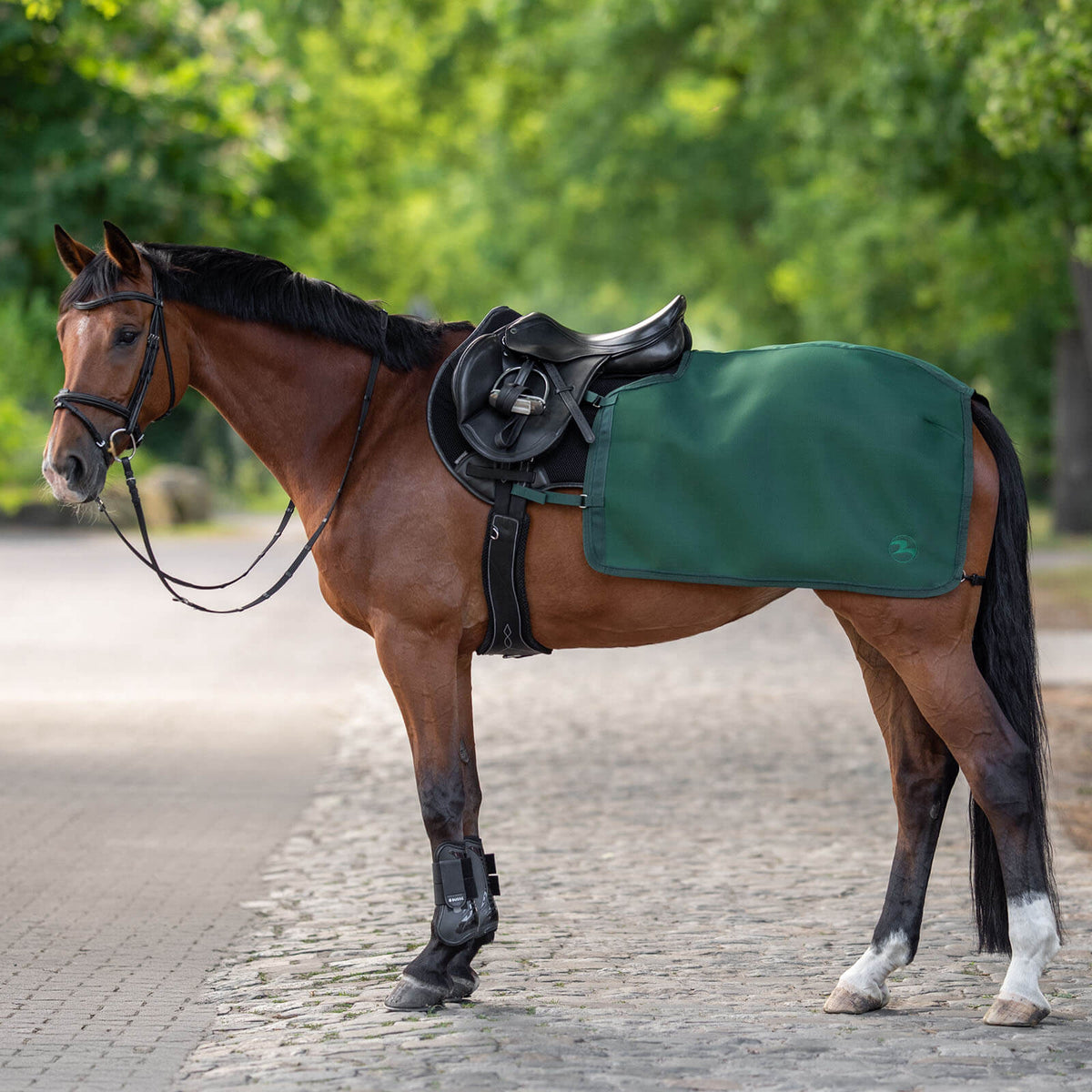 Trainingsdecke 3D Air Pro Ausreitdecke, Emerald, Pferd mit Sattel auf Weg.