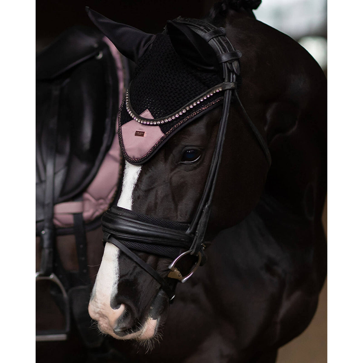 Equestrian Stockholm Fliegenmütze Anemone Fliegenhaube Fliegenohren, Rosa, Pferd trägt das Produkt am Kopf.