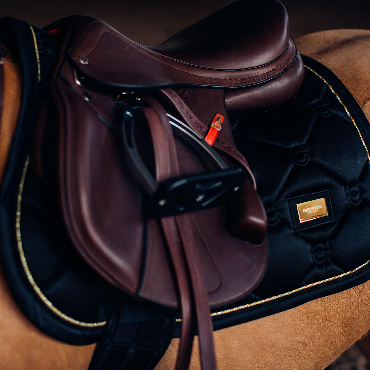 Springschabracke Black Gold, Schwarz, Detailaufnahme unter dem Sattel auf einem Pferd.