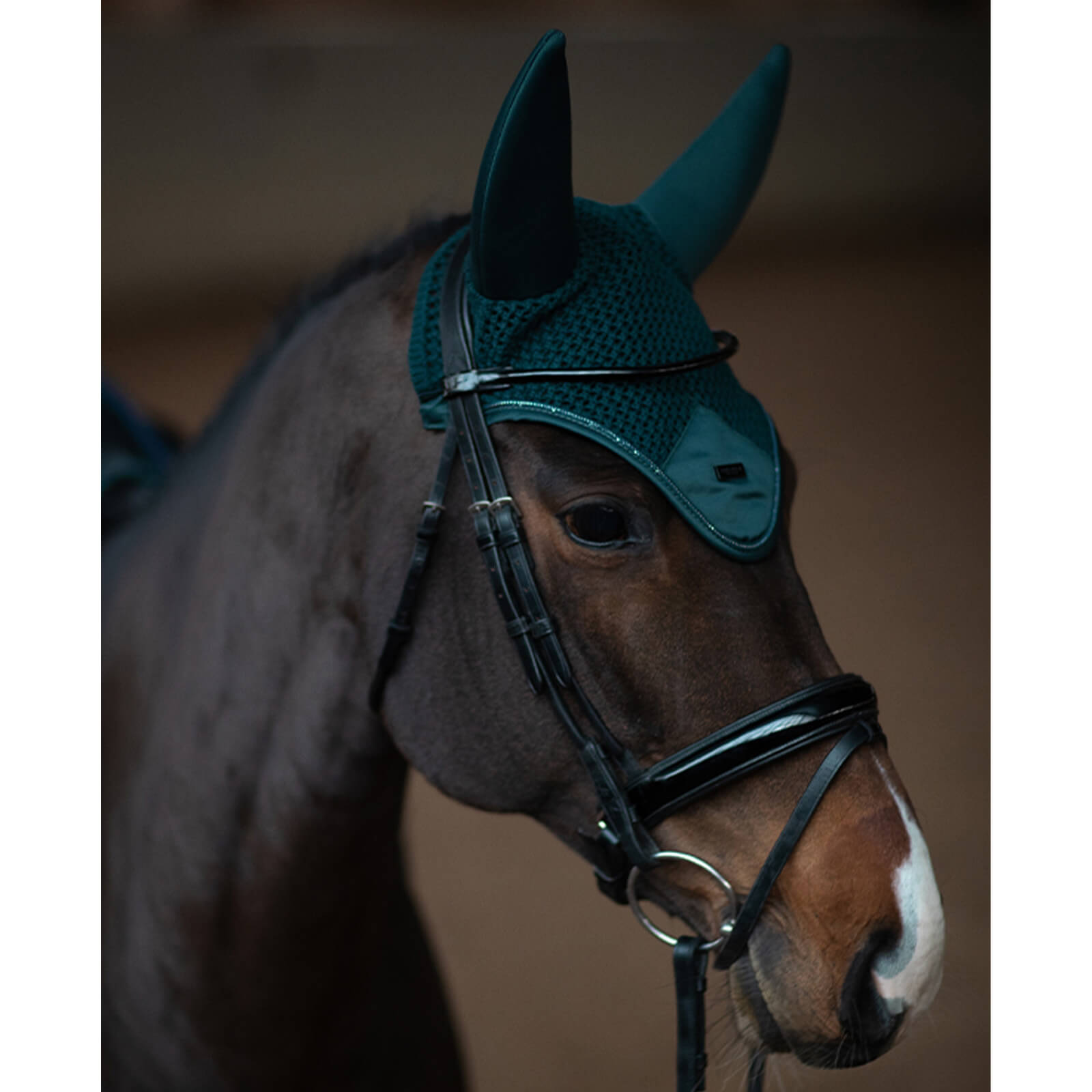 Fliegenhaube Modern Dramatic Monday Fliegenmütze