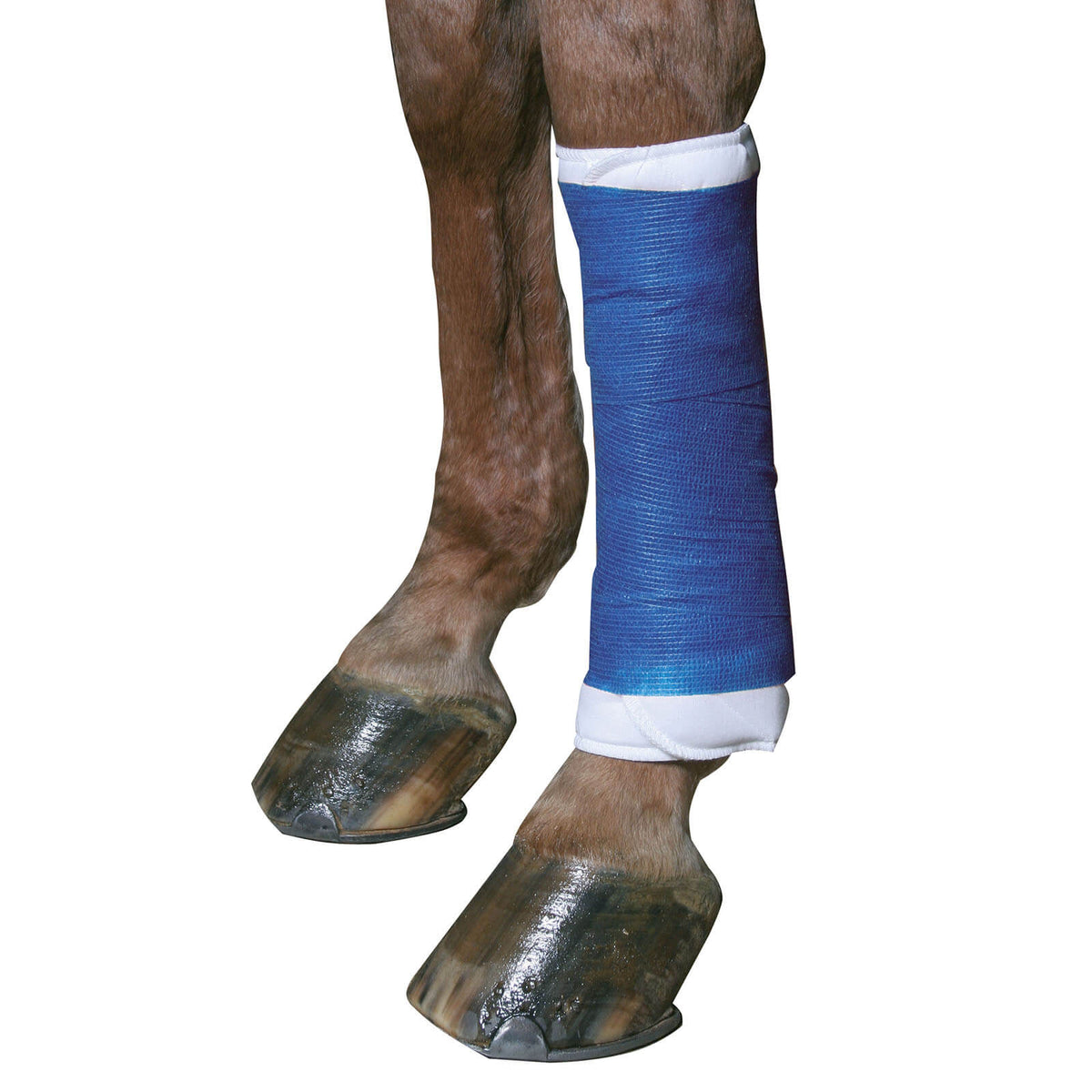 KERBL Bandage Selbsthaftend EquiLastic Beinschutz, Blau, an Pferdebeinen getragen.