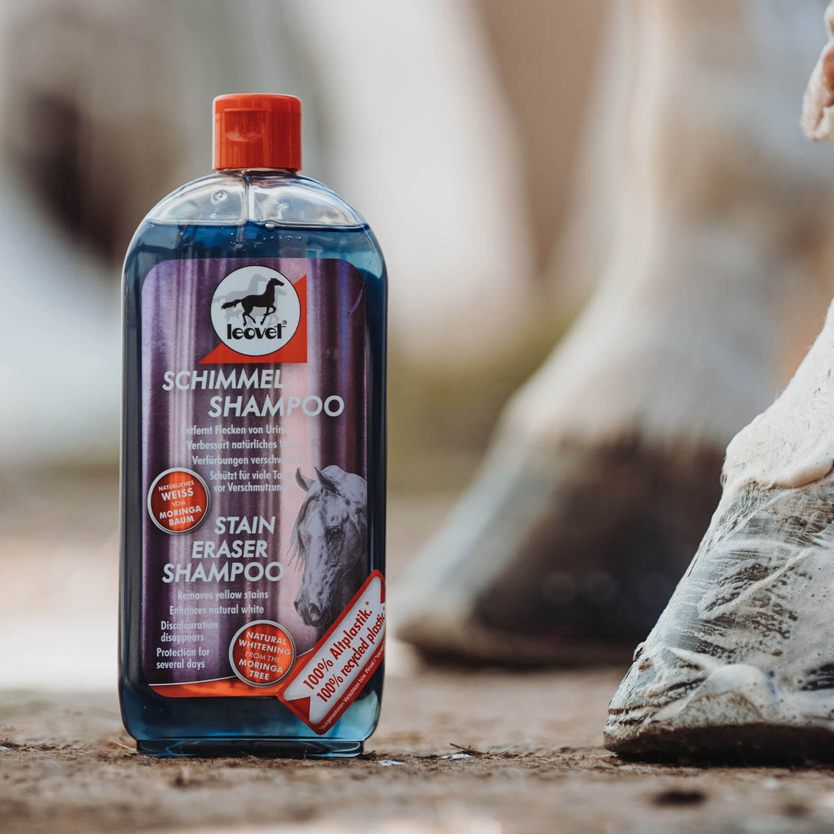 leovet Schimmel Shampoo, Flasche im Vordergrund neben einem Pferdebein.