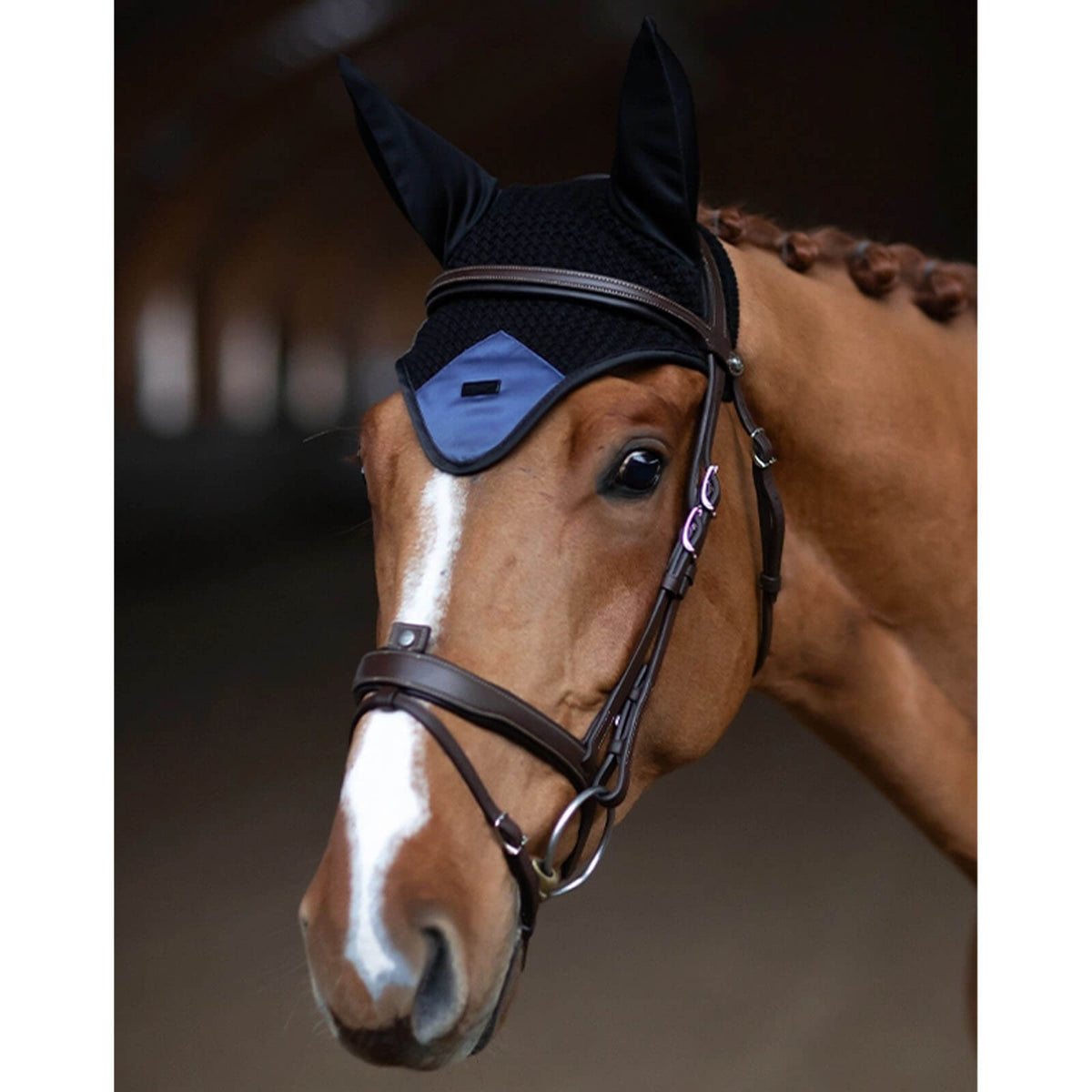 Fliegenmütze Ear Bonnet Sportive Dark Venice, Dark Venice, Pferd trägt die Fliegenmütze.