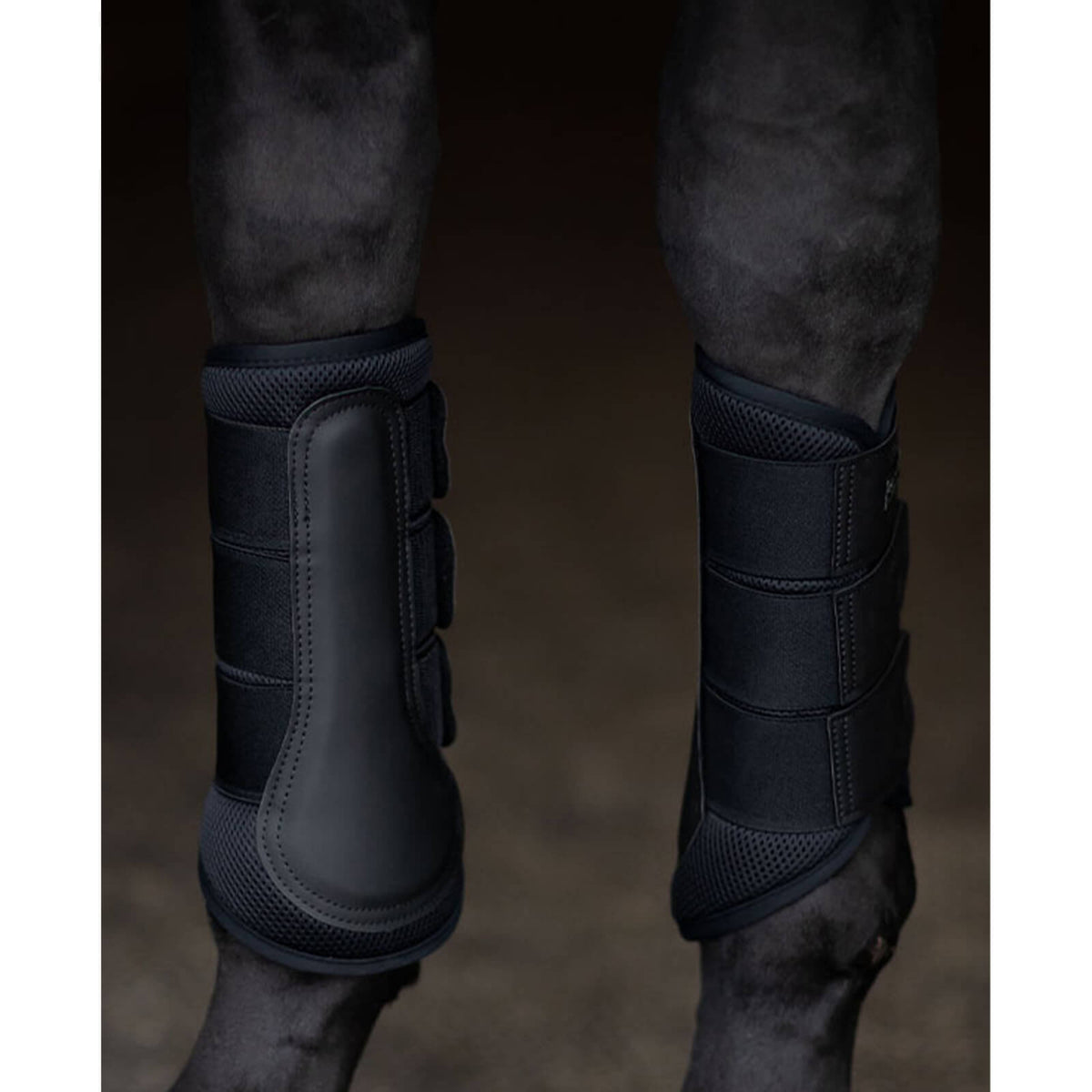 Equestrian Stockholm Gamaschen Classic Mesh Boots All Black Dressurgamaschen, Schwarz, an Pferdebeinen getragen.