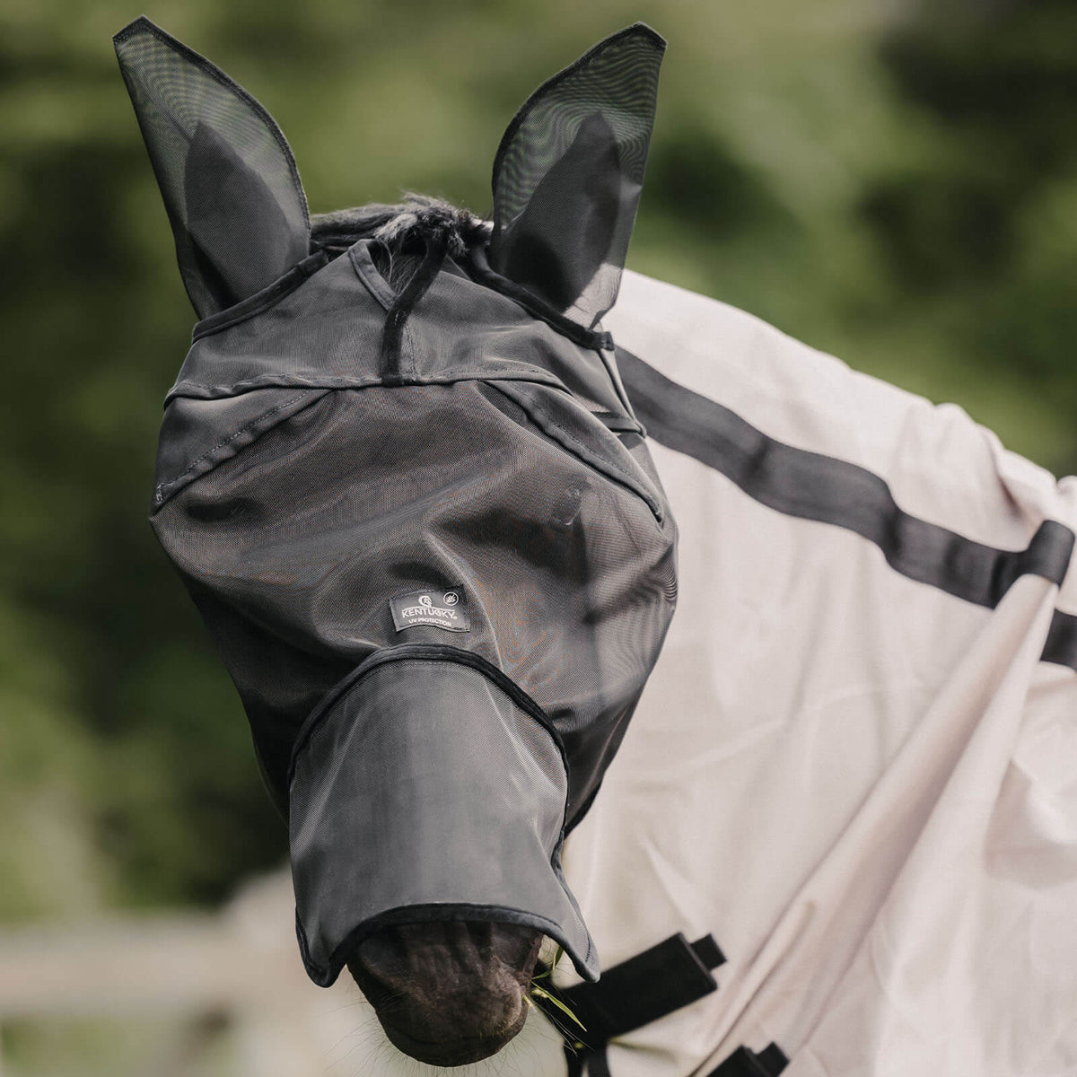 Kentucky Horsewear Fliegenmaske Classic mit Ohren und Nase Fliegenschutz, Schwarz, am Pferd getragen.