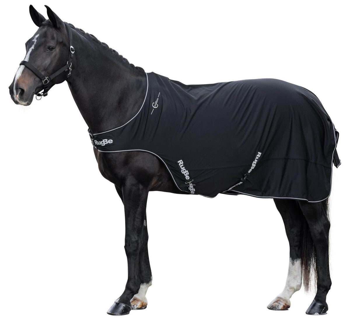 Führanlagen- und Spazierdecke RugBe, Schwarz, Pferd mit Decke auf weißem Hintergrund.
