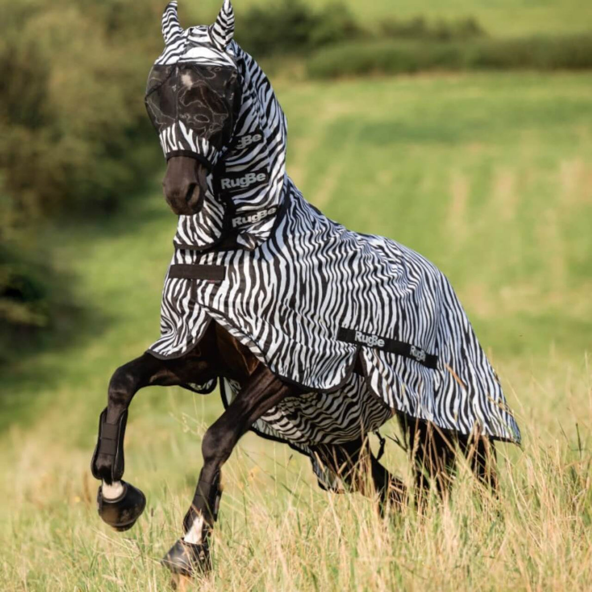 Covalliero Fliegenmaske mit Ohrenschutz Zebra Fliegenschutzmaske, Zebra, Pferd trägt die Maske auf der Weide.