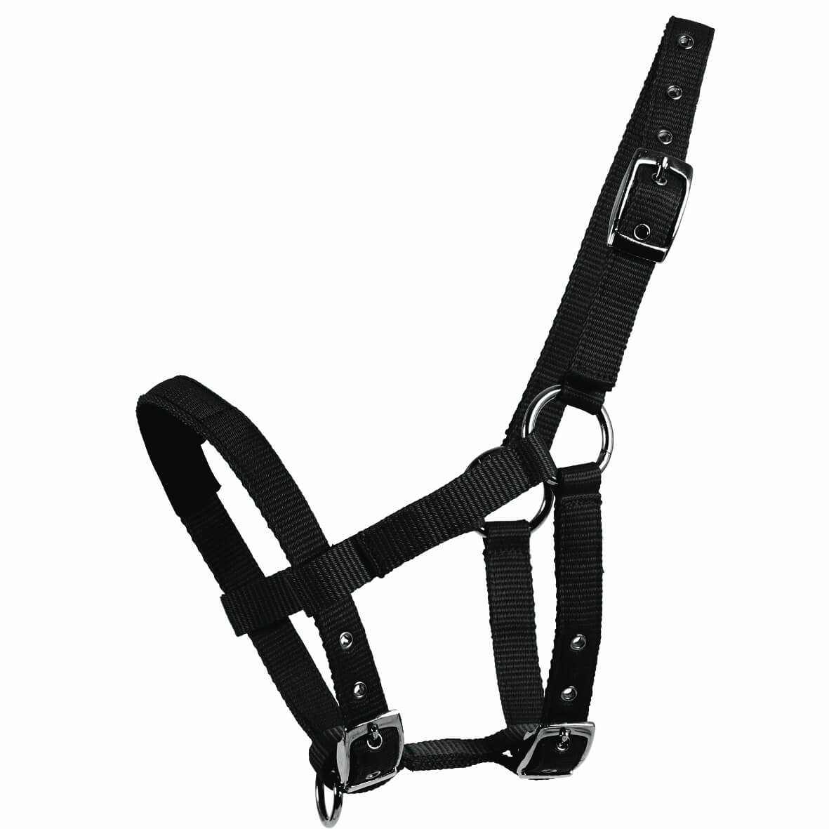 Waldhausen Mini-Shetty Halfter, Schwarz, Produkt allein auf weißem Hintergrund.