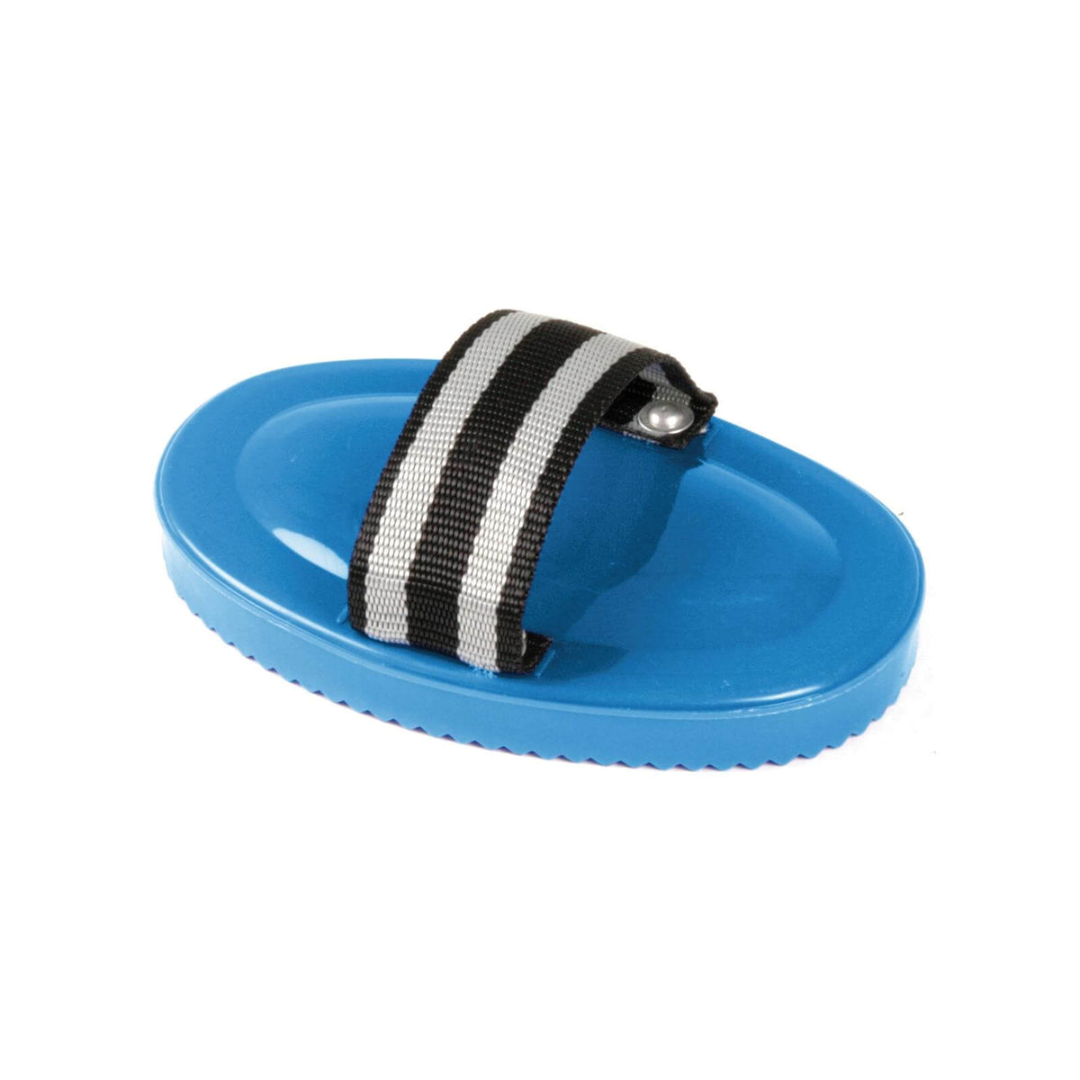 Plastikstriegel, oval, Azurblau, Produkt allein auf weißem Hintergrund.