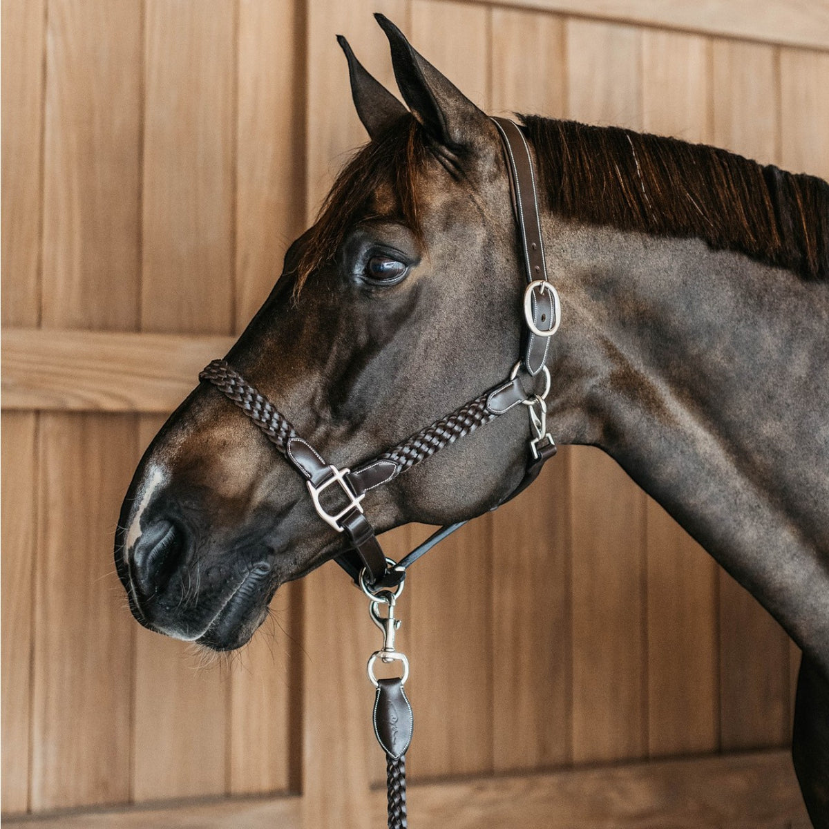 Leren halsters Plaited