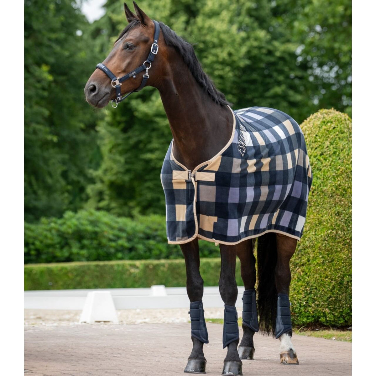 Abschwitzdecke Fleece Check Classic Sports FS26 Pferdedecke, mehrere Farbvarianten, Pferd trägt die Decke im Freien.
