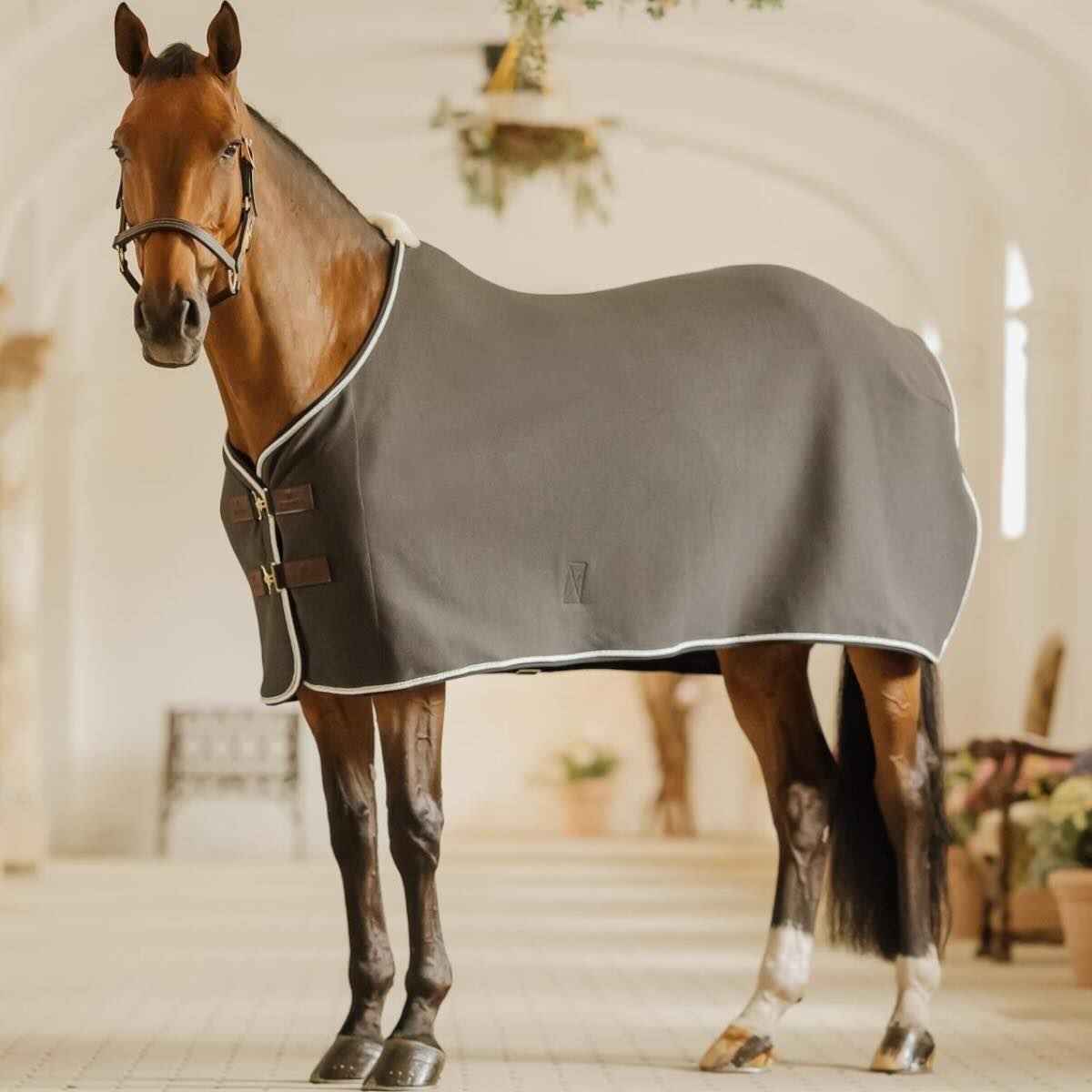 Abschwitzdecke Fleece Show Vegan Wool Decke