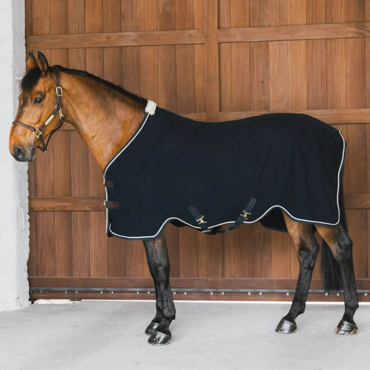 Abschwitzdecke Fleece Vegan Wool Decke, Schwarz, Pferd trägt die Decke im Stall.