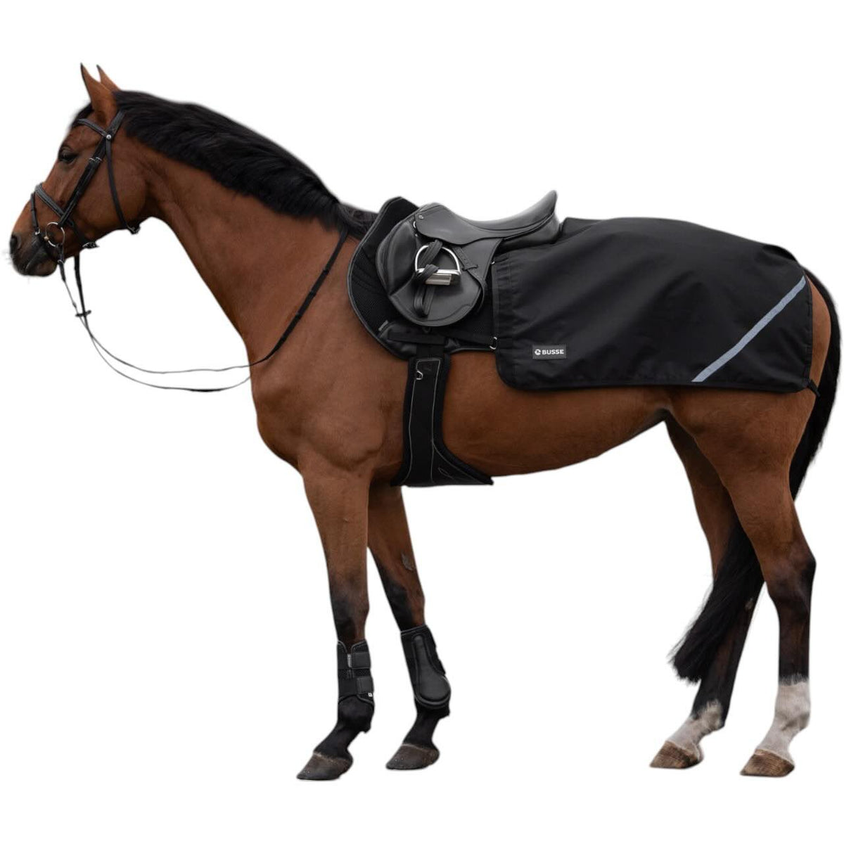 Busse Ausreitdecke Rain FX 0g Regendecke, Schwarz, Pferd trägt die Decke beim Reiten.