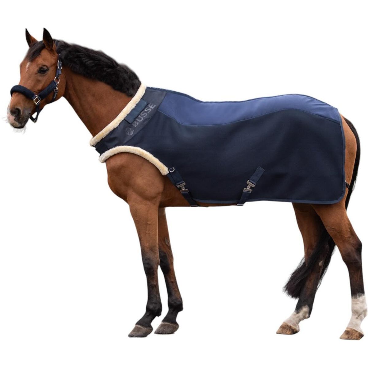 Busse Führanlagendecke 3D Air Fly Decke, Navy, Pferd trägt die Decke.