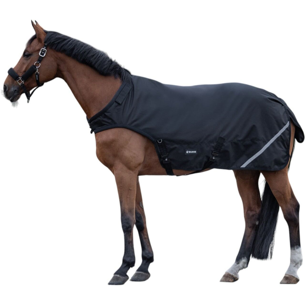 Busse Führanlagendecke Rain 100g Decke, Schwarz, Pferd trägt die Führanlagendecke.