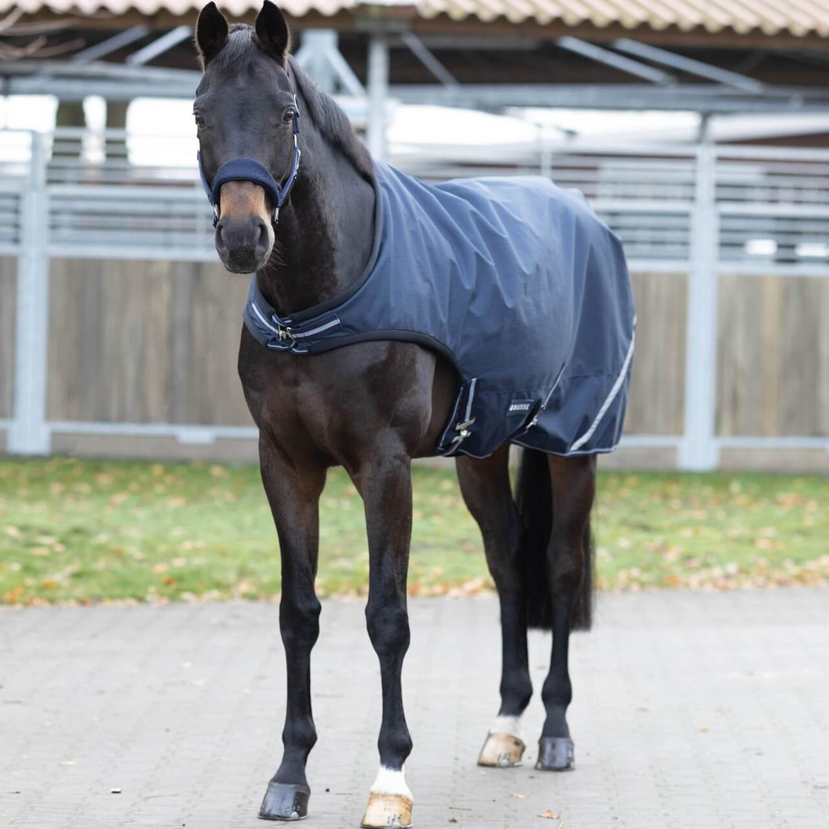 Bewegungsdecke 100g Rain Comfort, Dunkelblau, Pferd trägt die Decke im Freien.