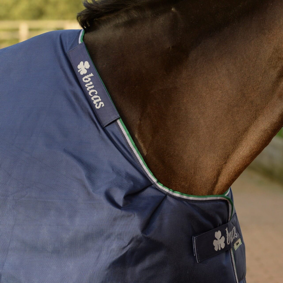 Outdoordecke 300g Smartex Turnout Extra Weidedecke, Blau, Detailaufnahme am Pferd.