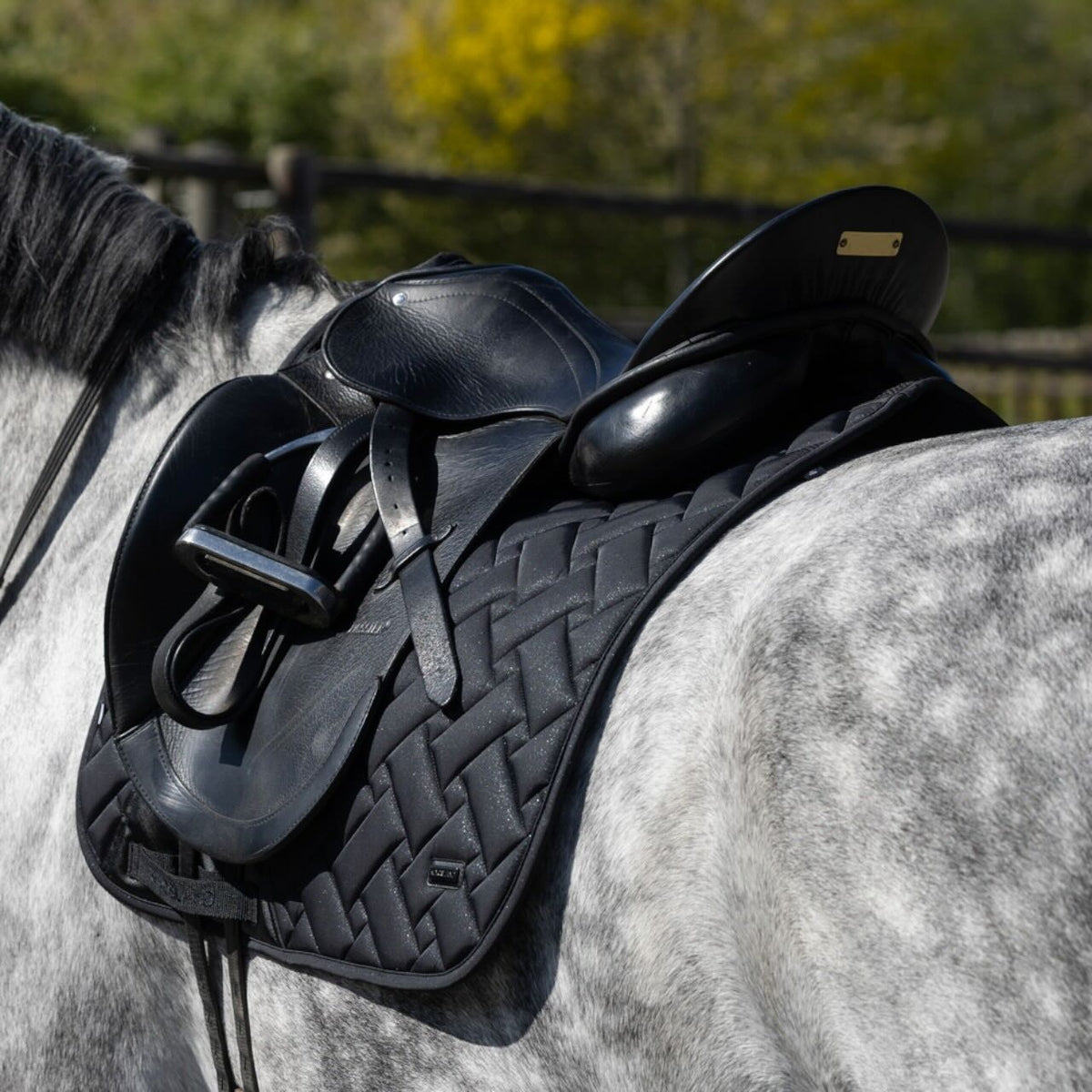 Kingsland Dressurschabracke KLLexie FS 2026 Schabracke, Schwarz, am Pferd im Dressurtraining.