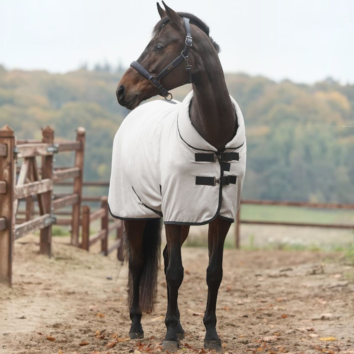 Couverture polaire KLAbby HW 2026 Couvre-reins séchant