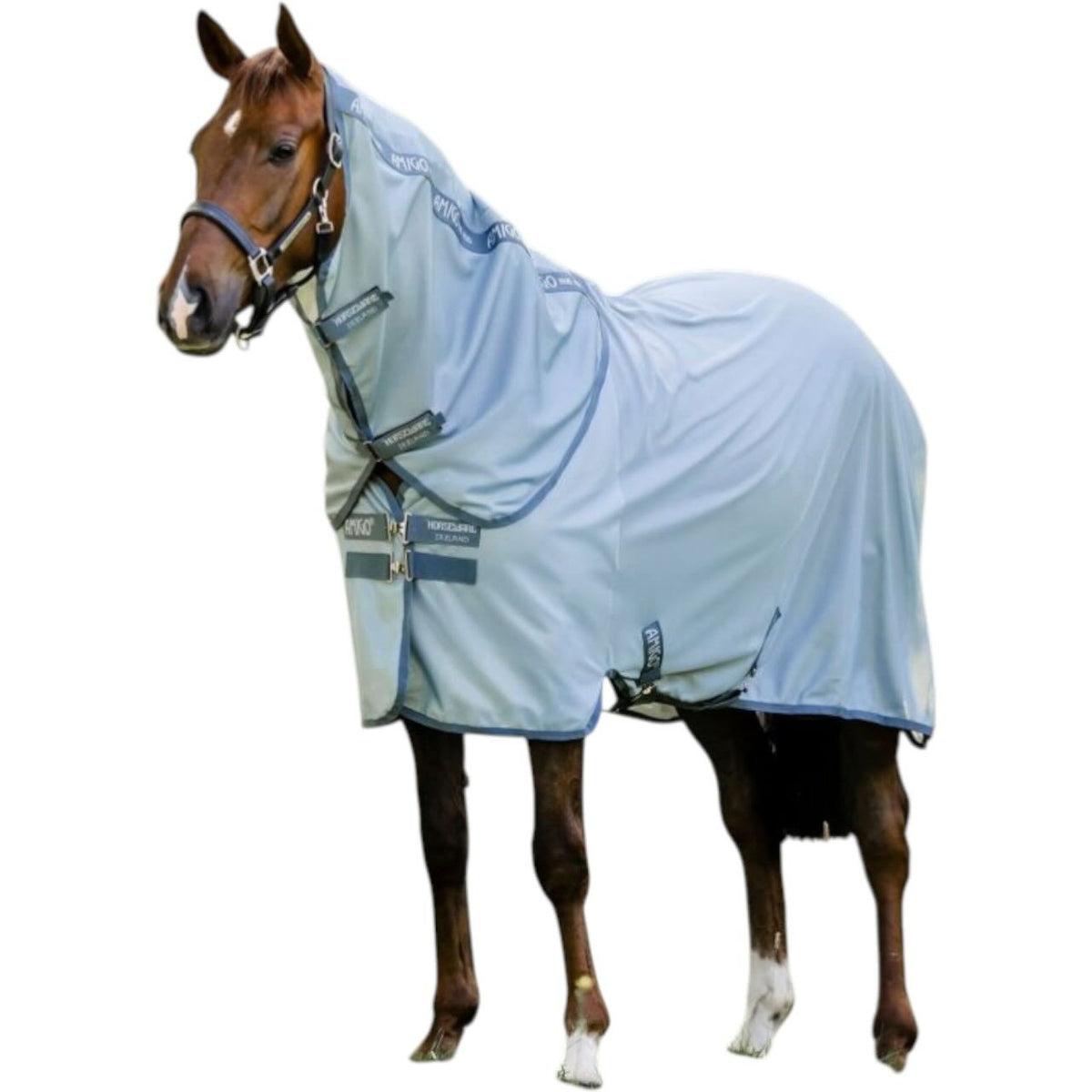 Fliegendecke Amigo Bug Rug Plus Fliegenschutz, Heather Blue/Blue & Silver, Pferd trägt die Decke.