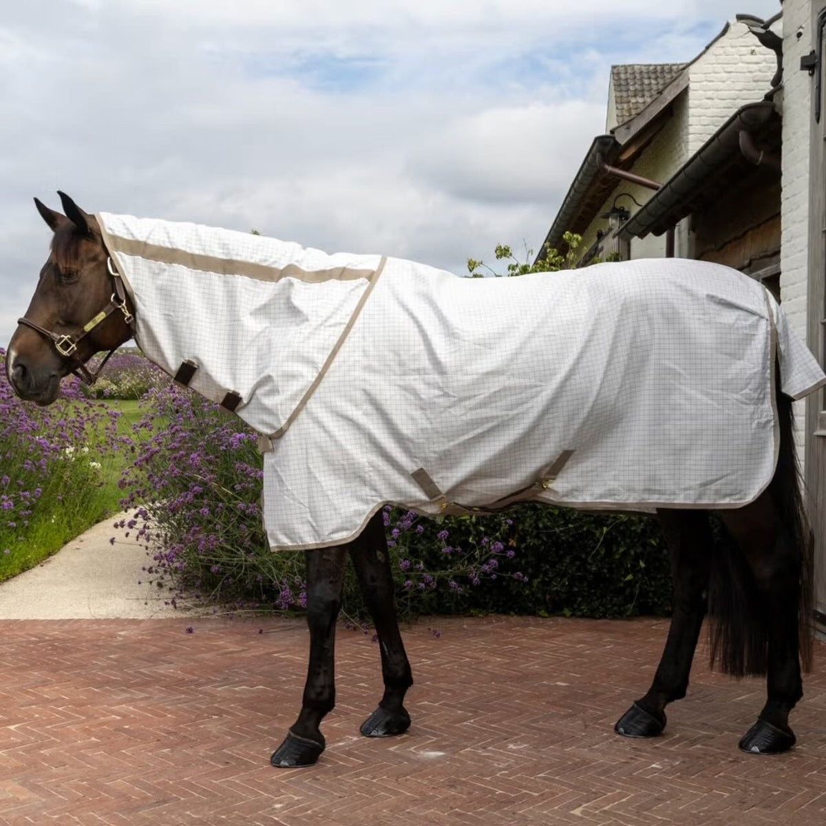 Kentucky Horsewear Fliegendecke Comfort Ekzemerdecke, Weiß, Pferd trägt Decke im Freien.