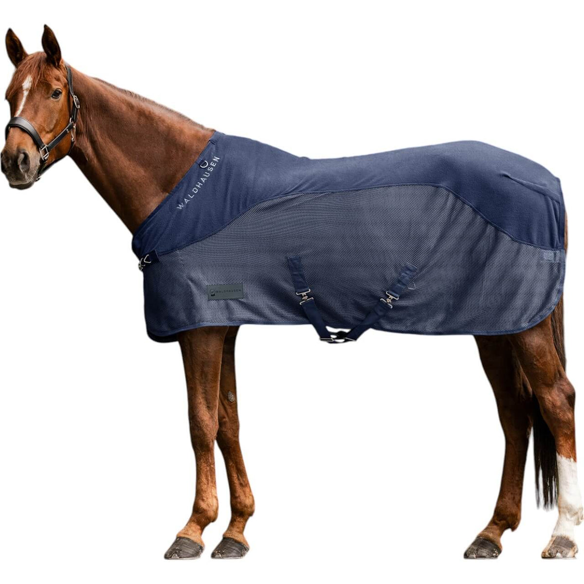 Waldhausen Fliegendecke Fleece Comfort, Nachtblau, Pferd trägt die Decke.