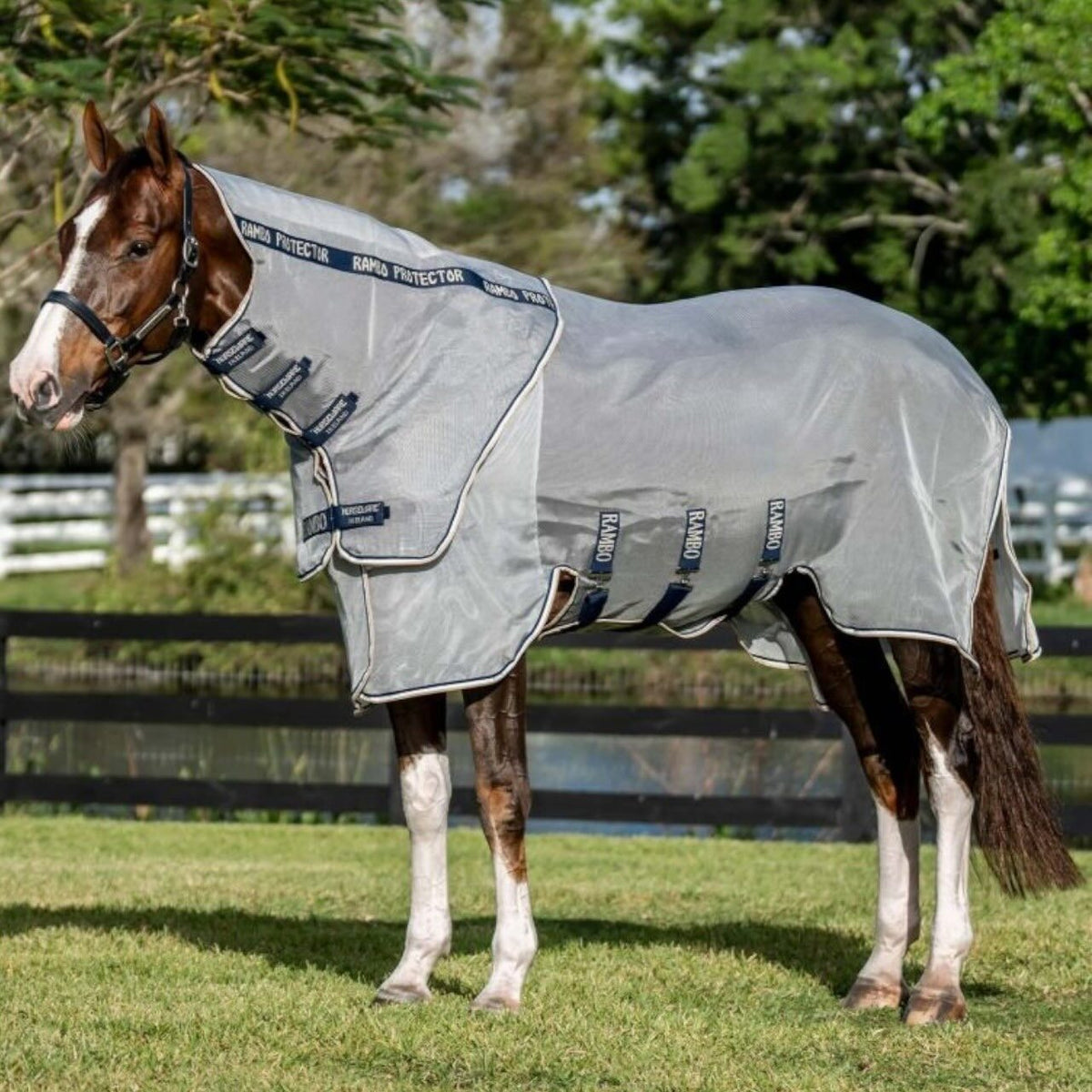 Horseware Ireland Fliegendecke Rambo Protector Fieldsafe Plus Fliegenschutz, Grau, Pferd auf der Weide.