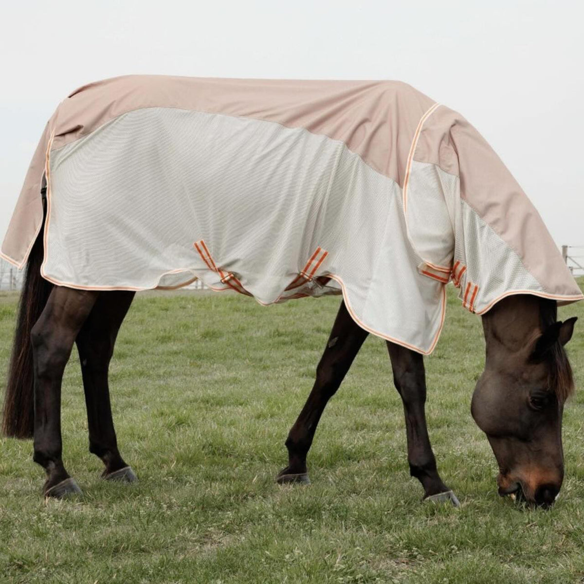 Kentucky Horsewear Combo-Fliegendecke Comfort Wasserdichte Regendecke, Pferd auf der Weide.