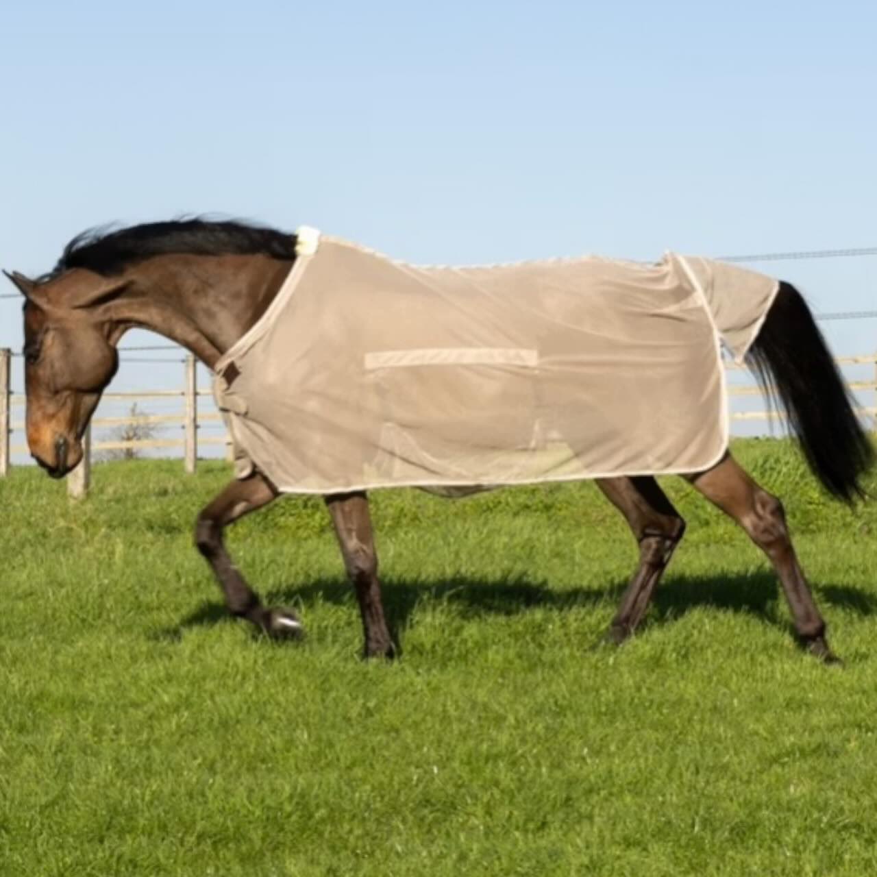 Fliegendecke mit Bauchteil Comfort Fliegenschutz