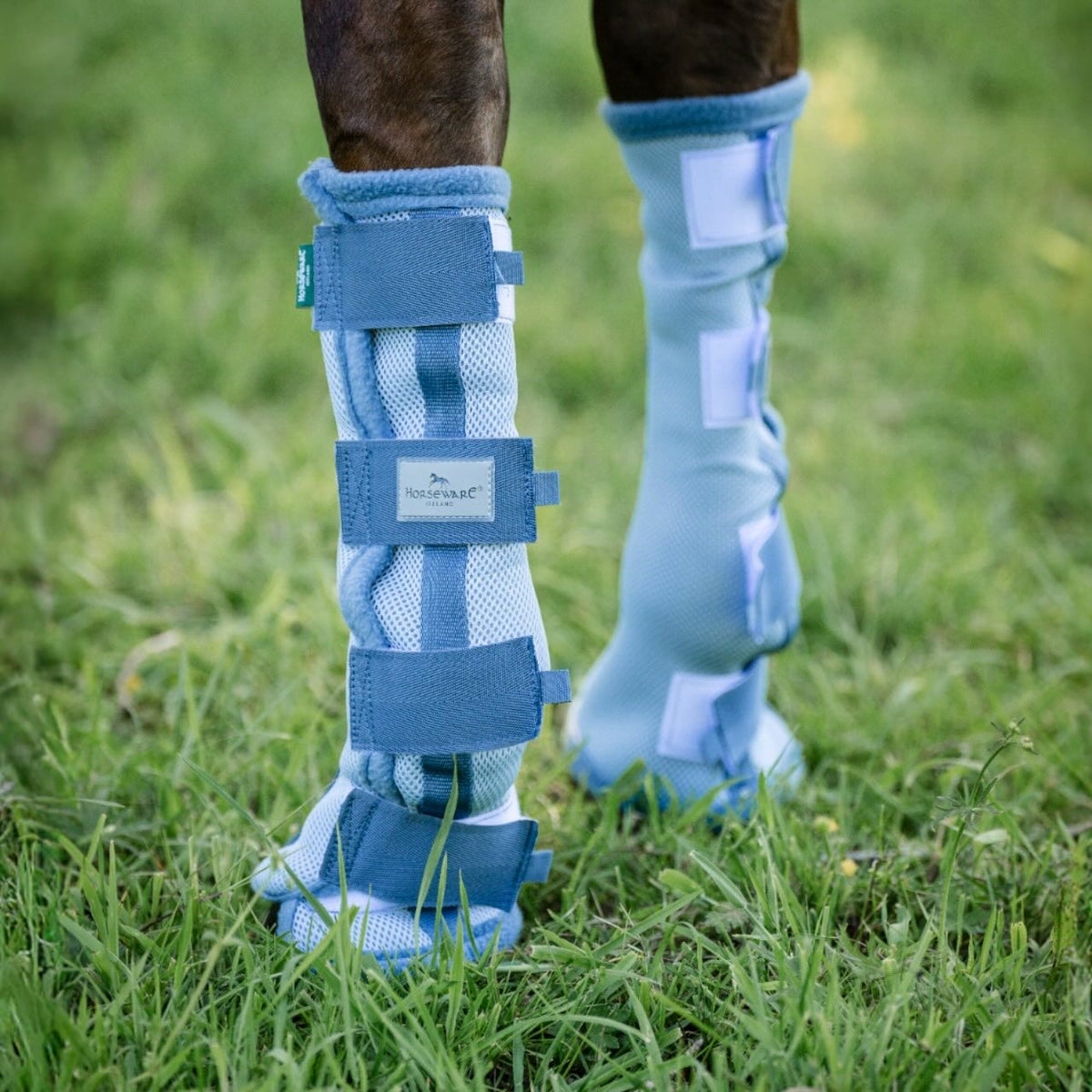Horseware Ireland Fliegengamaschen Fly Boots Gamaschen, Hellblau, an Pferdebeinen im Gras.