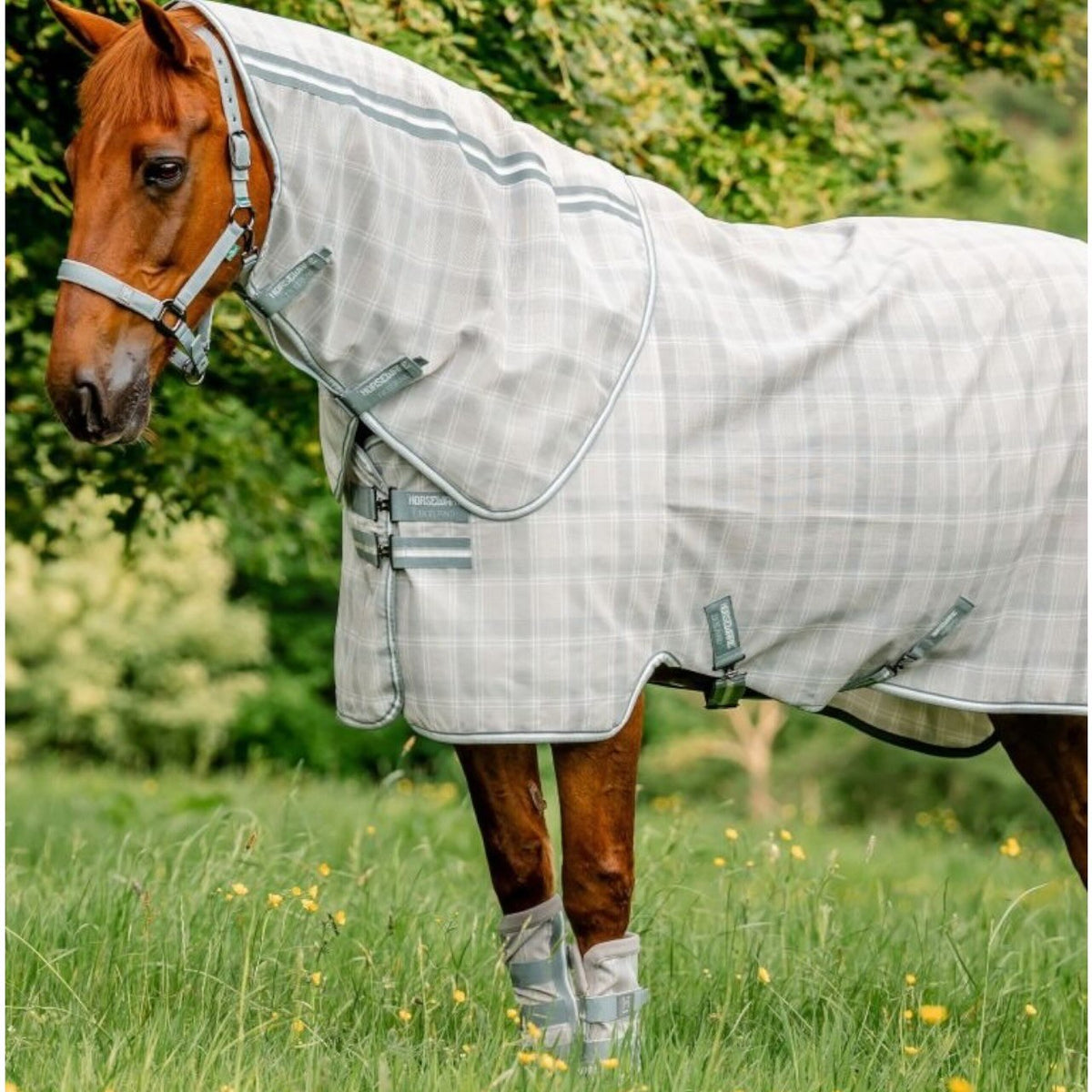 Horseware Ireland Fliegengamaschen Newmarket Fly Boots Gamaschen, mehrere Farbvarianten, Pferd trägt das Produkt auf der Wiese.