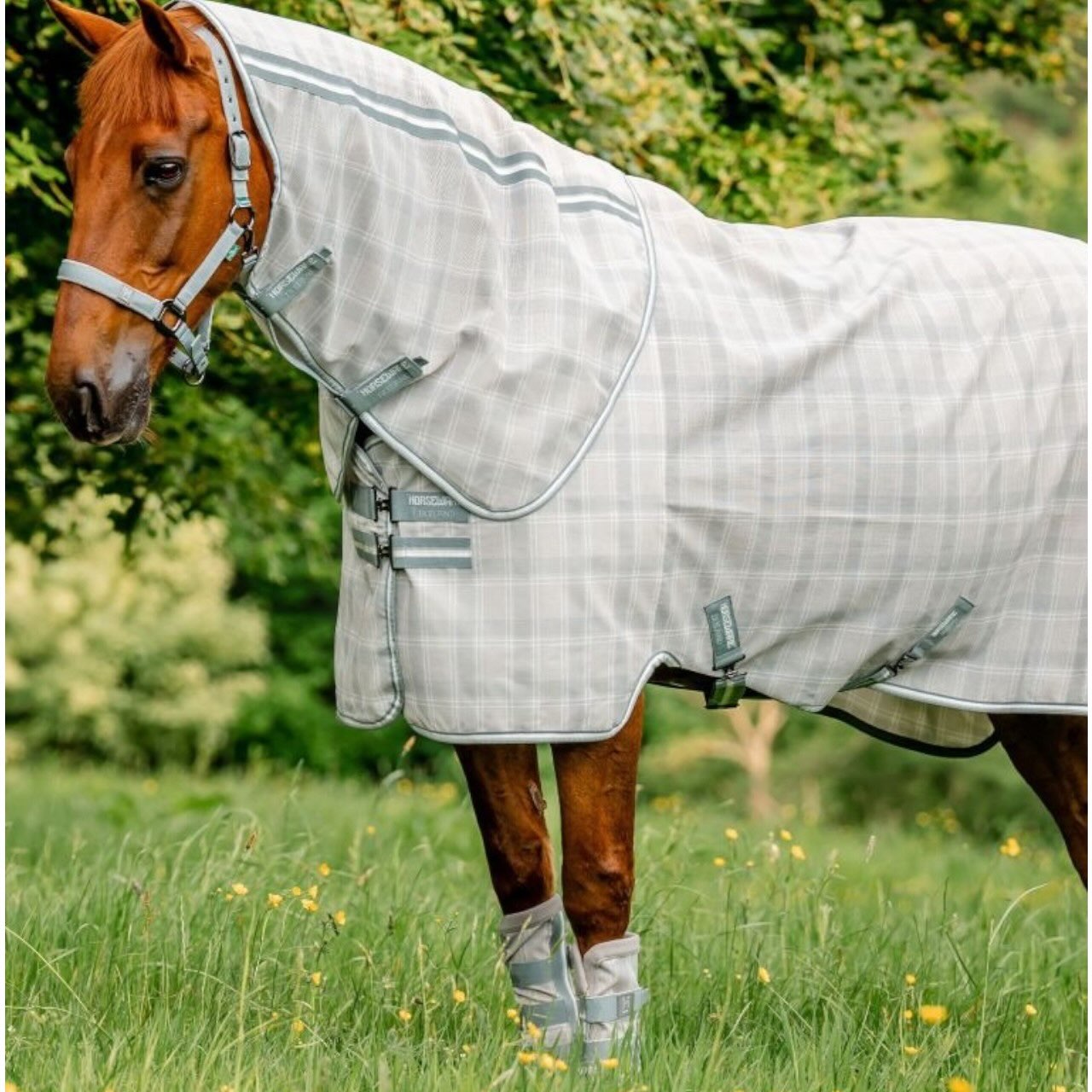 Fliegengamaschen Newmarket Fly Boots Gamaschen